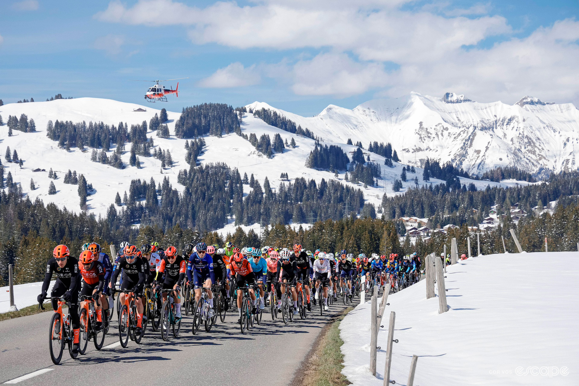 The peloton during the Tour de Romandie.