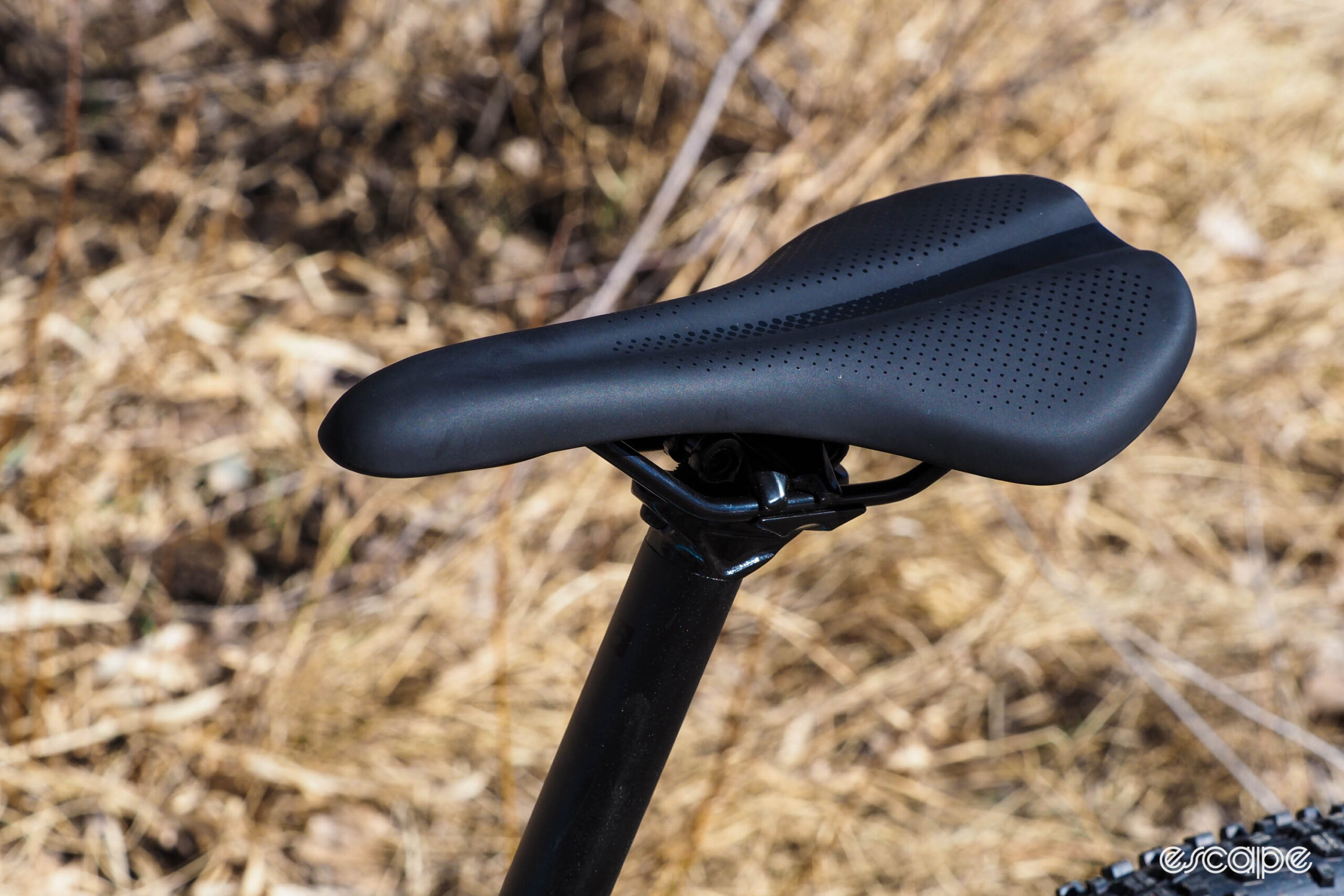 Bontrager Arvada saddle