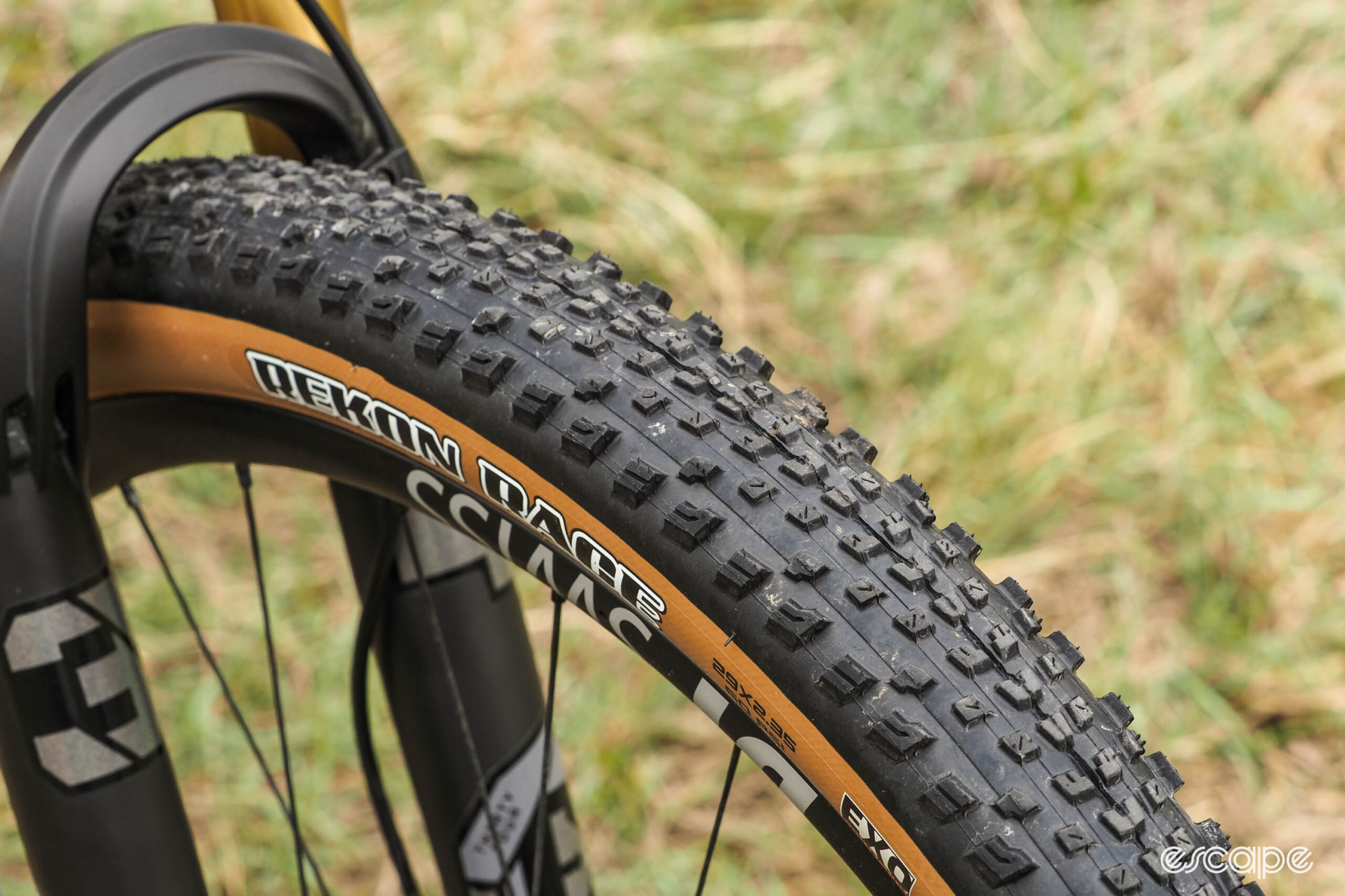 Lee Cougan Crossfire Trail Maxxis Rekon Race tires