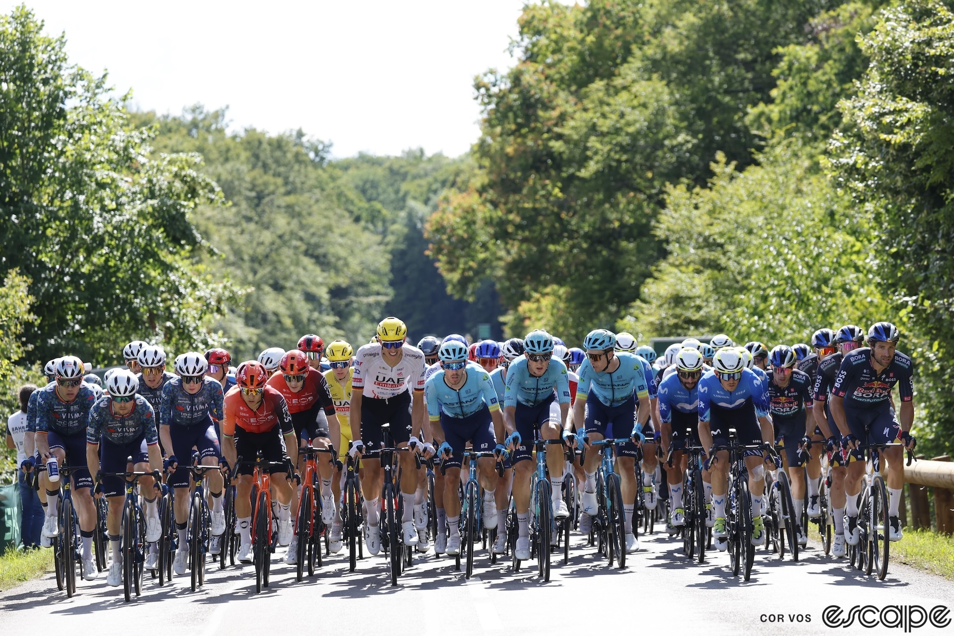 The peloton on stage 6 of the Tour de France.