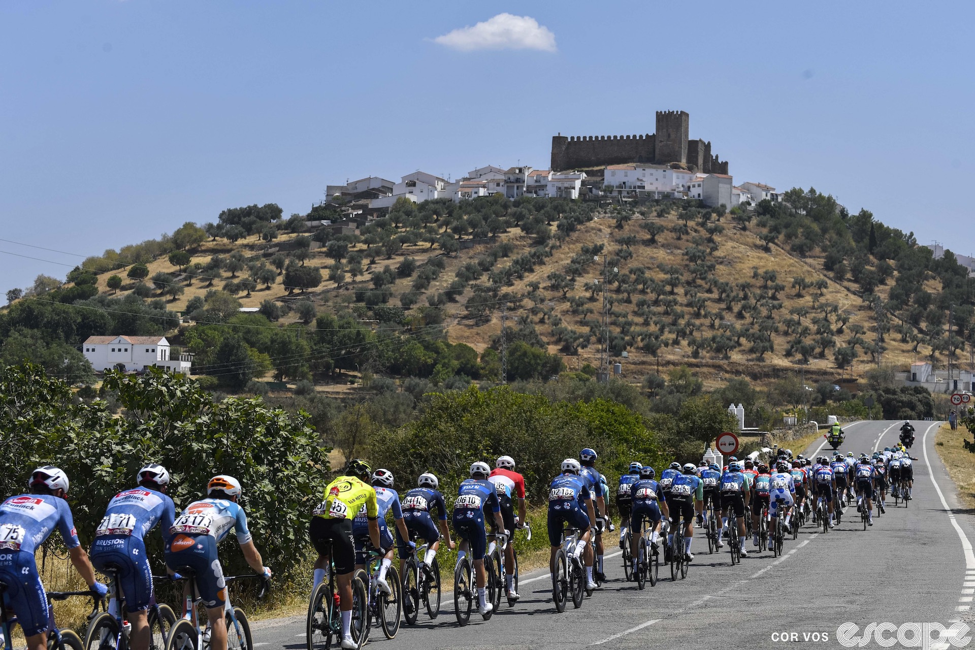 The Vuelta peloton.