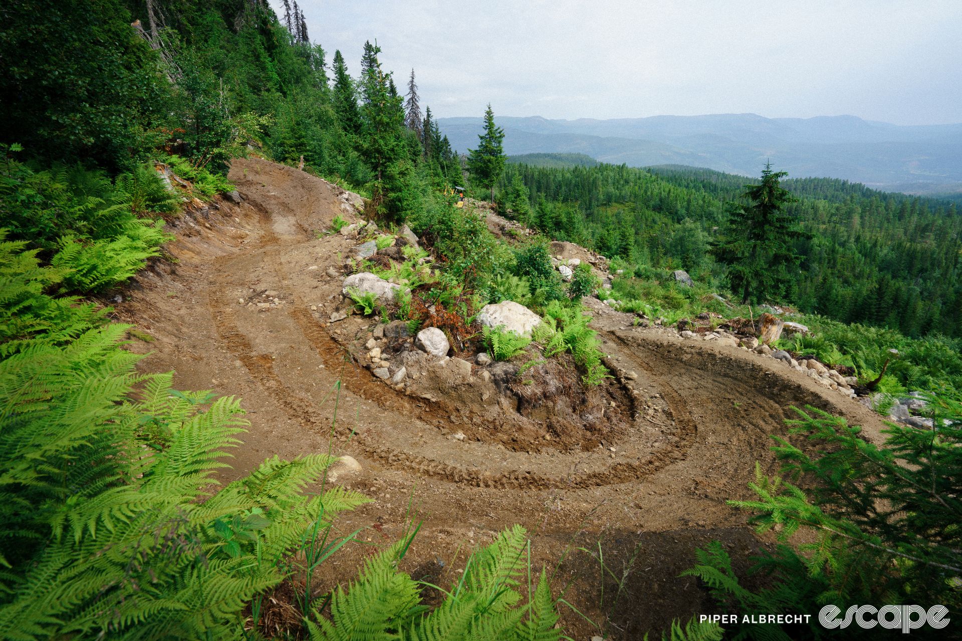 Flowing berms on a blue trail