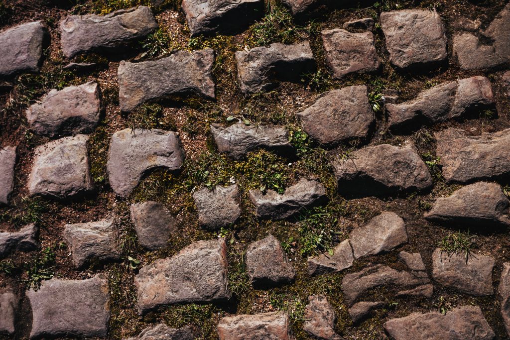 A close-up of the cobbles. The granite stones are irregularly shaped and spaced an inch or two apart. They sink into the soil at odd angles and present sharp edges to tires, far from the tight, uniform cobbles of most European streets.