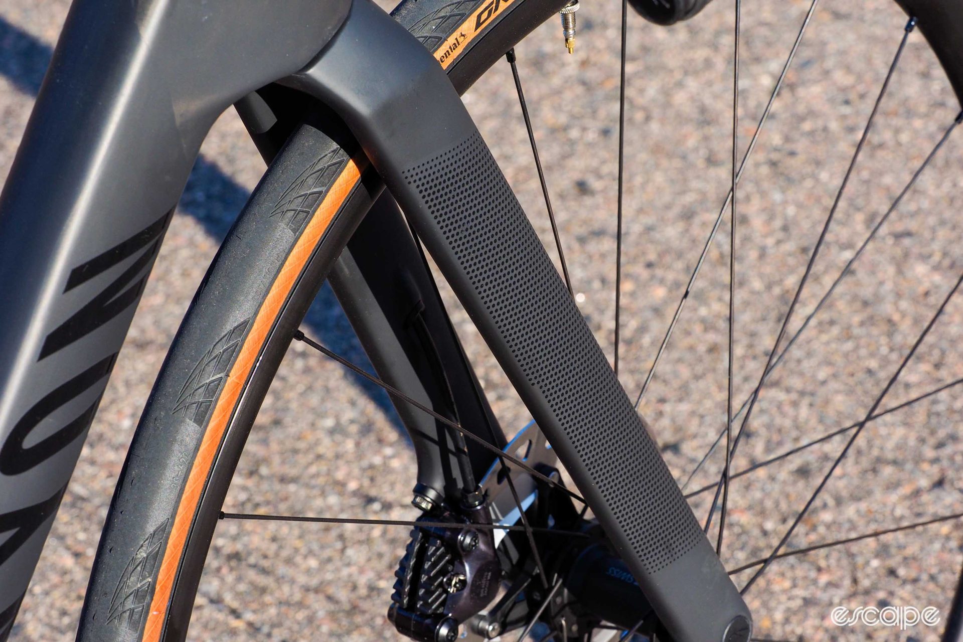 The 2024 Canyon Endurace CF fork and the little dots down each blade on the outside.