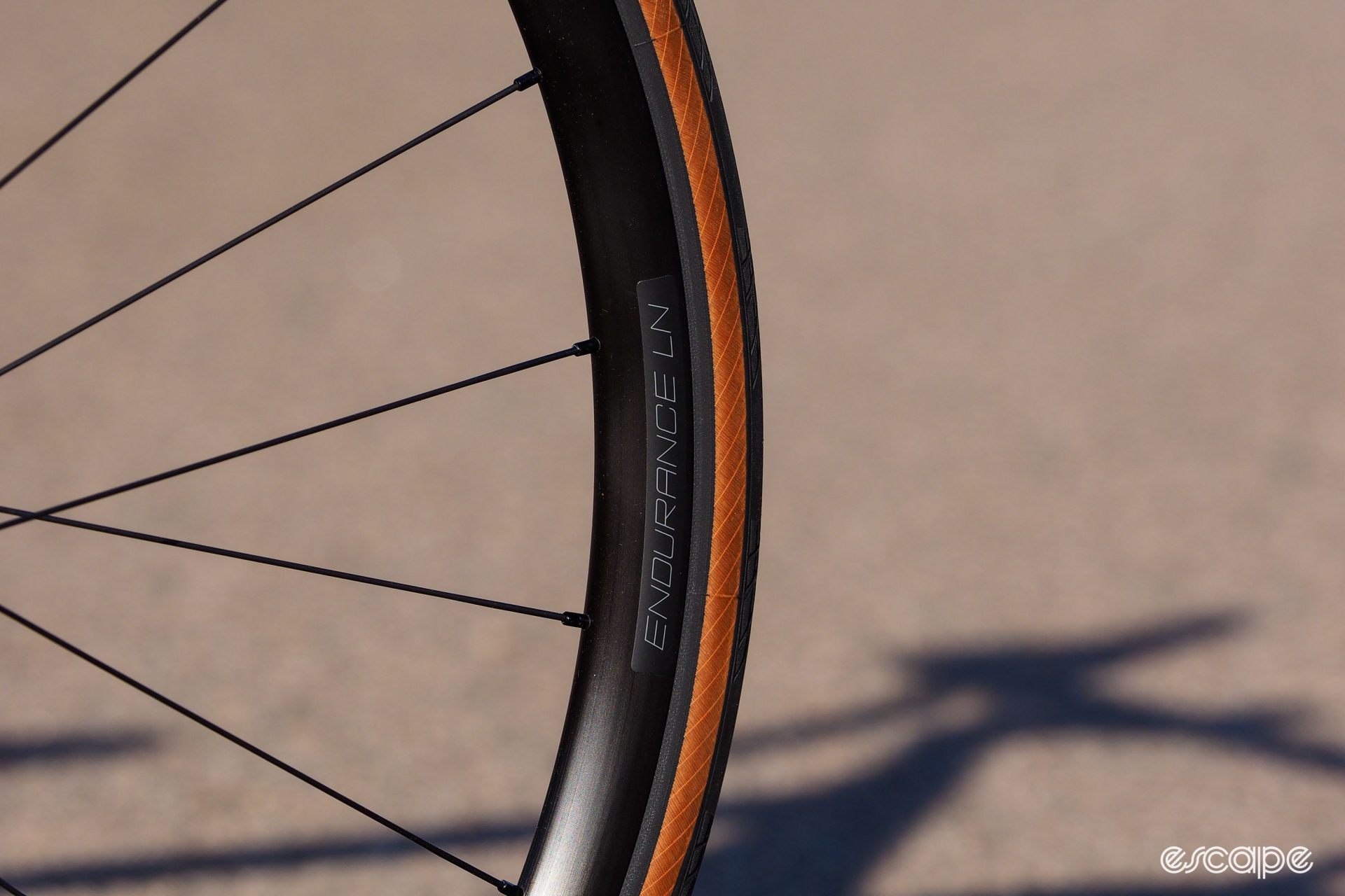 DT Swiss Endurance LN rims feature logos that are easily removable if you don't like them.