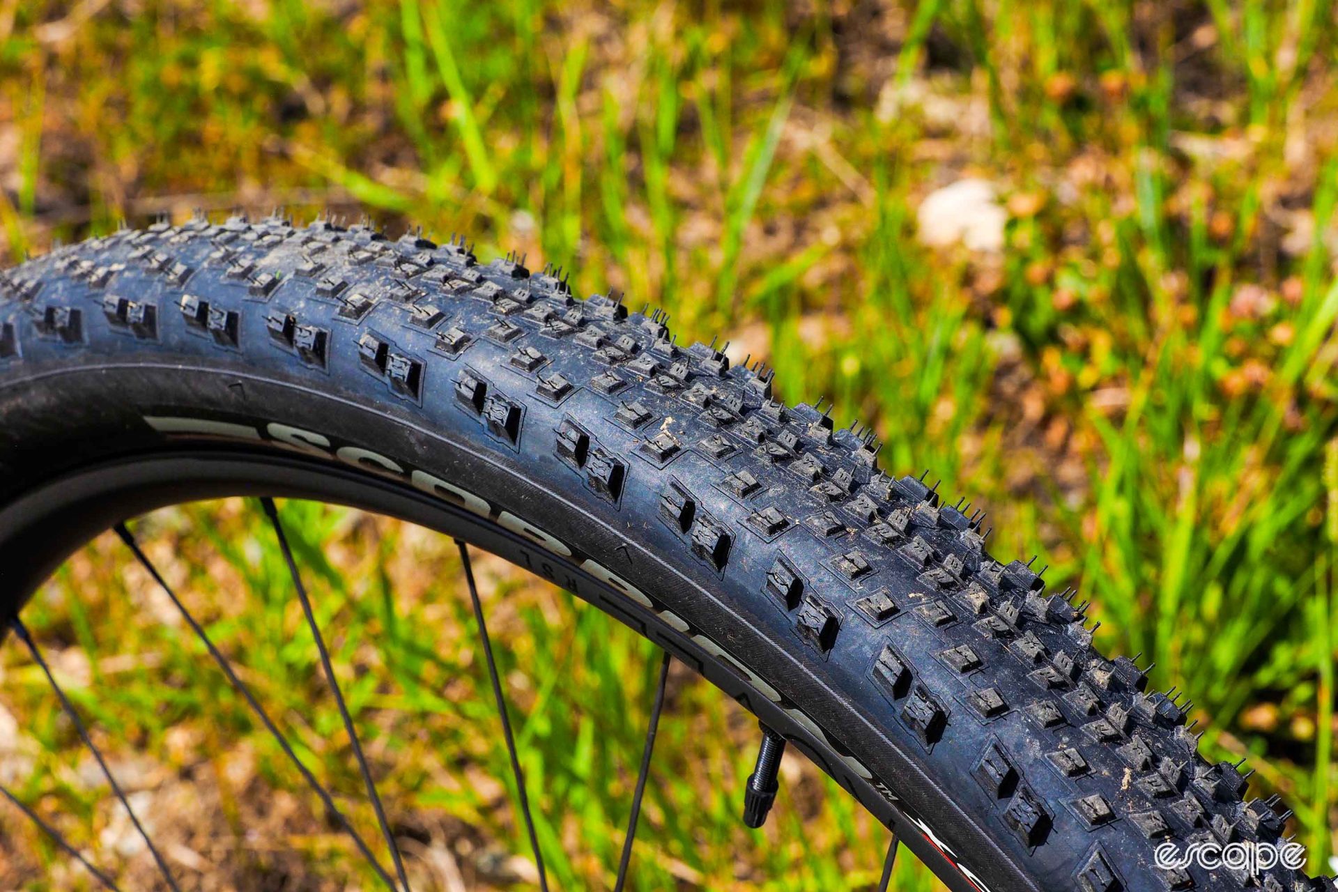Pirelli's Scorpion XC RC tires feature a low center-height knob pattern with close spacing for fast rolling, along with taller, angled side knobs for cornering. These may or may not be final spec.