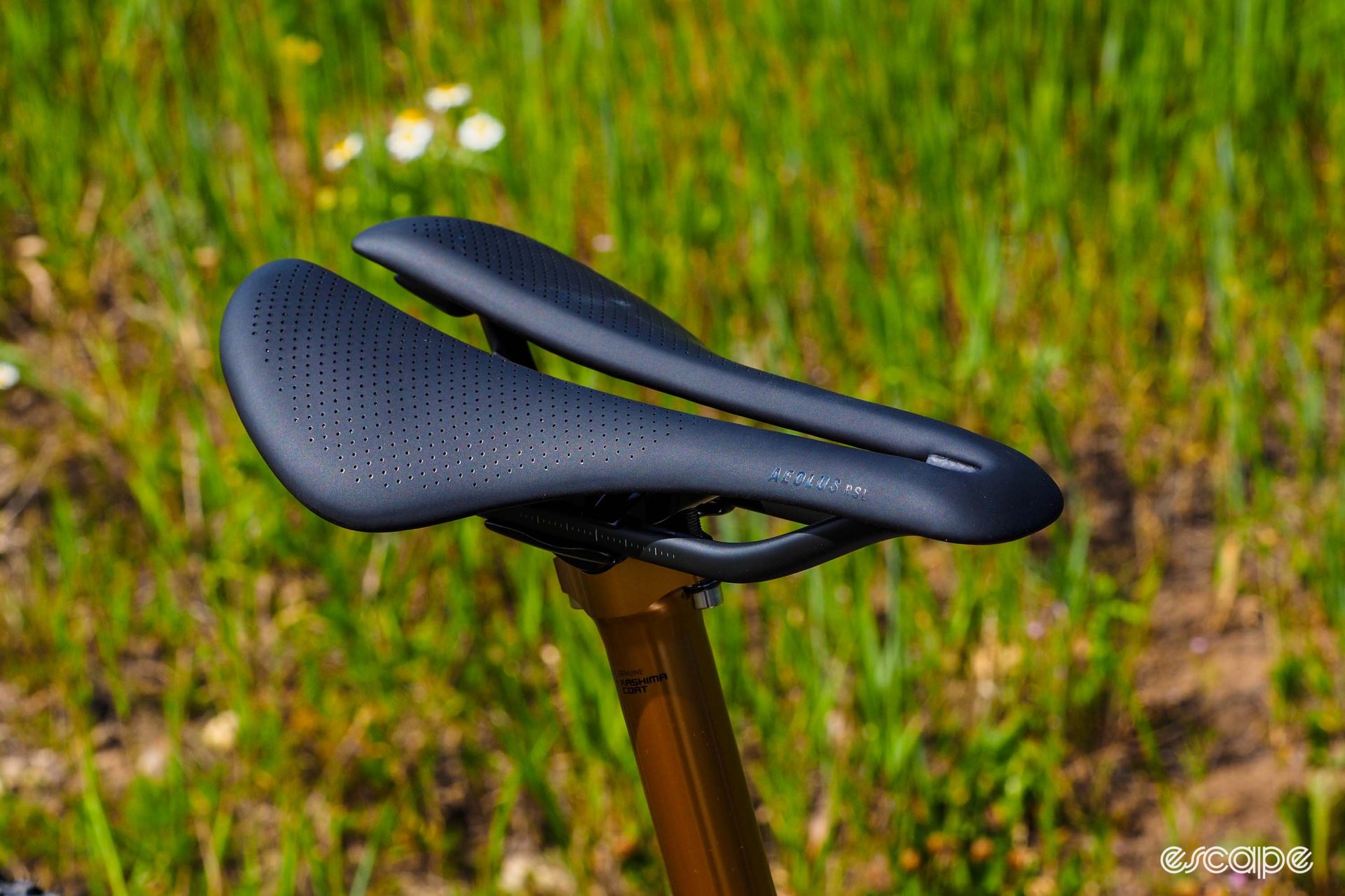 Bontrager's slim Aeolus RSL saddle is borrowed from the road side and features carbon-fiber rails and a split center section, open at the back.