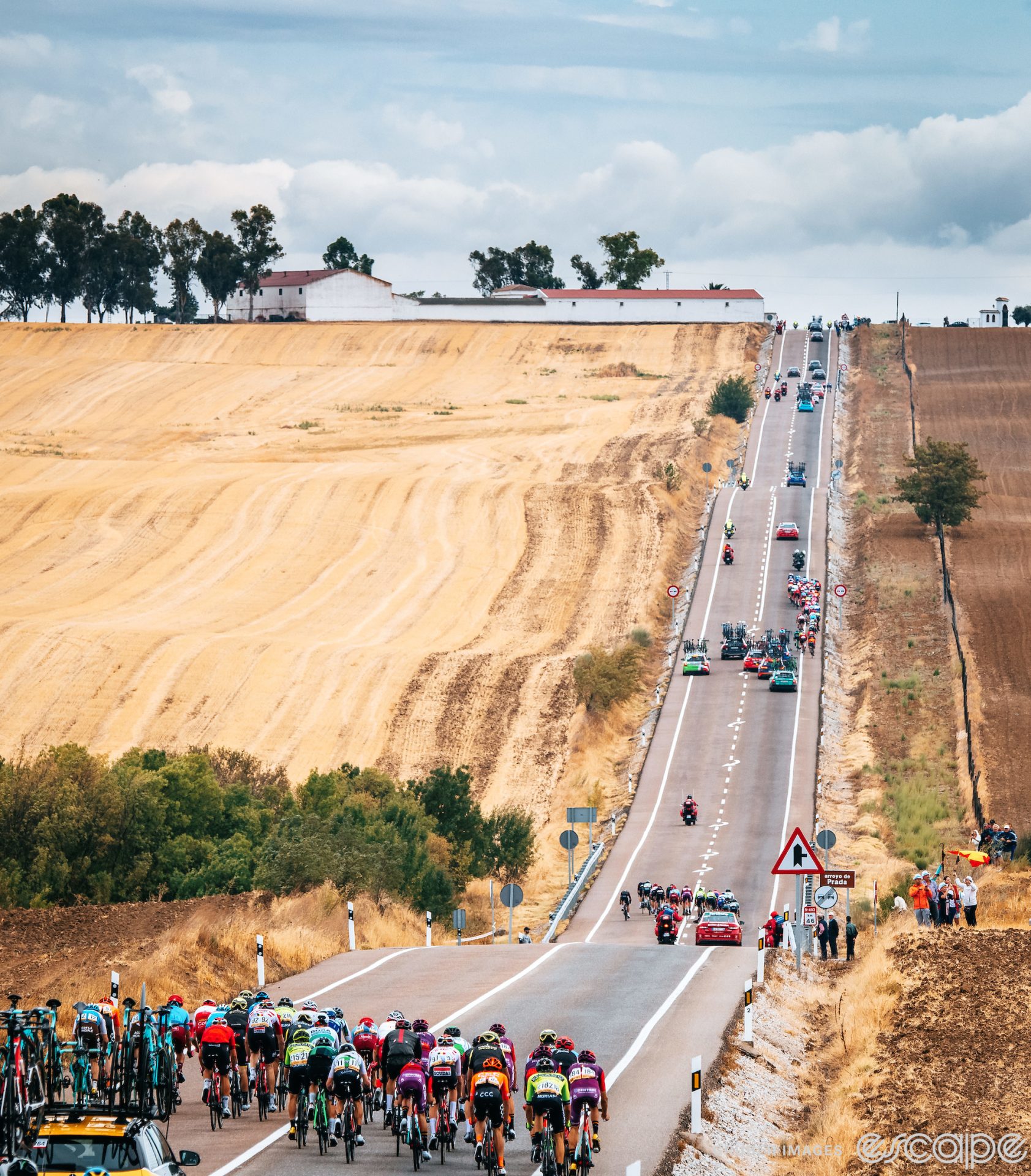 A broken-up pack races down a straight, undulating road in the Tour of Spain. The riders race past fields baked tan and brown by heat, with small copses of green trees. In the foreground, a large group of riders spreads across the road in a diagonal pattern, while up ahead two other groups make the same shape. Each group is hundreds of yards apart from the other, and followed by a smattering of support vehicles. This is the characteristic of a pack broken up by crosswinds.
