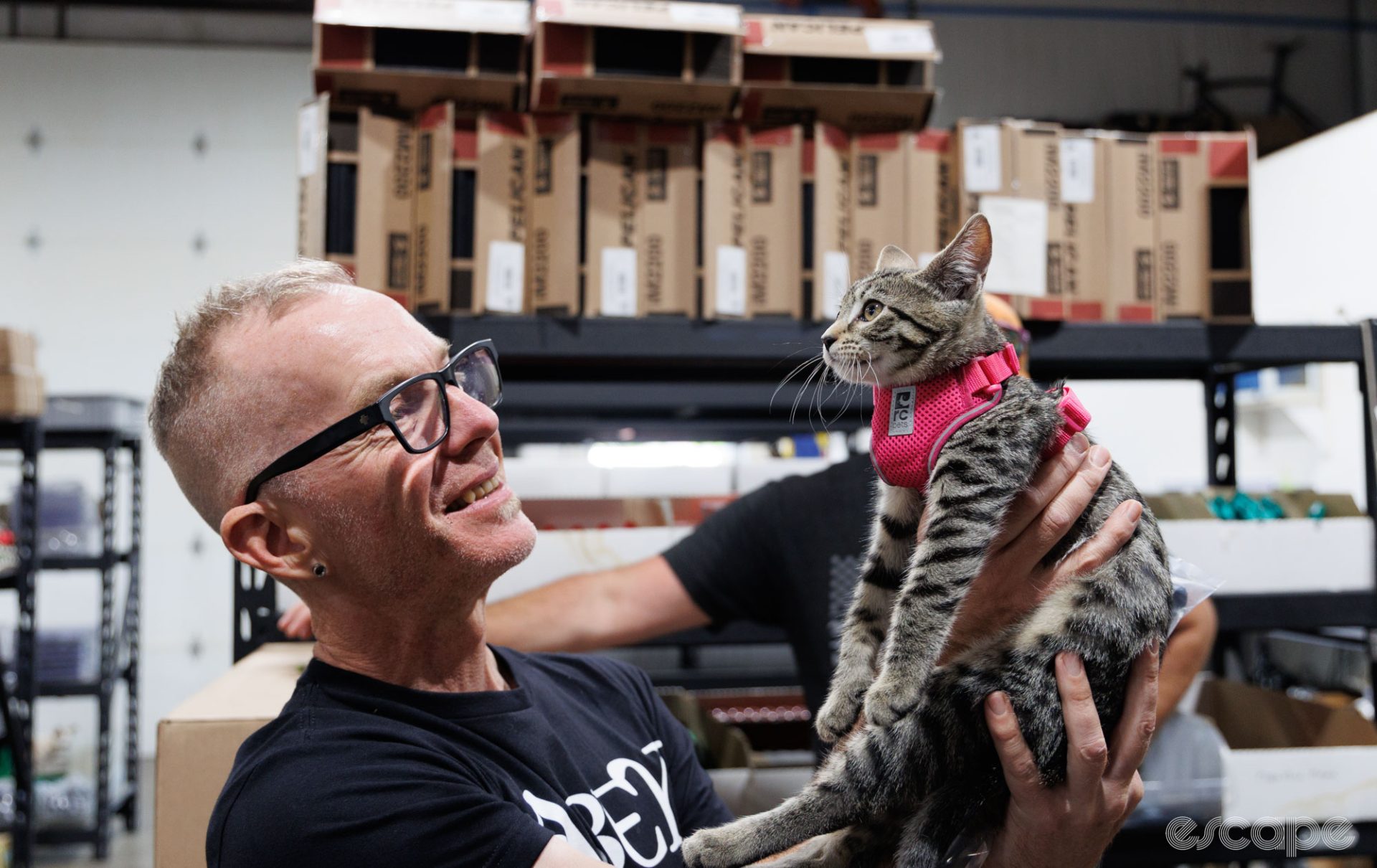Employee Mark holds up a cute, tiger-striped cat wearing a coral-pink harness. Mark is smiling, while the cat, Tea Cup, looks off into the middle distance.