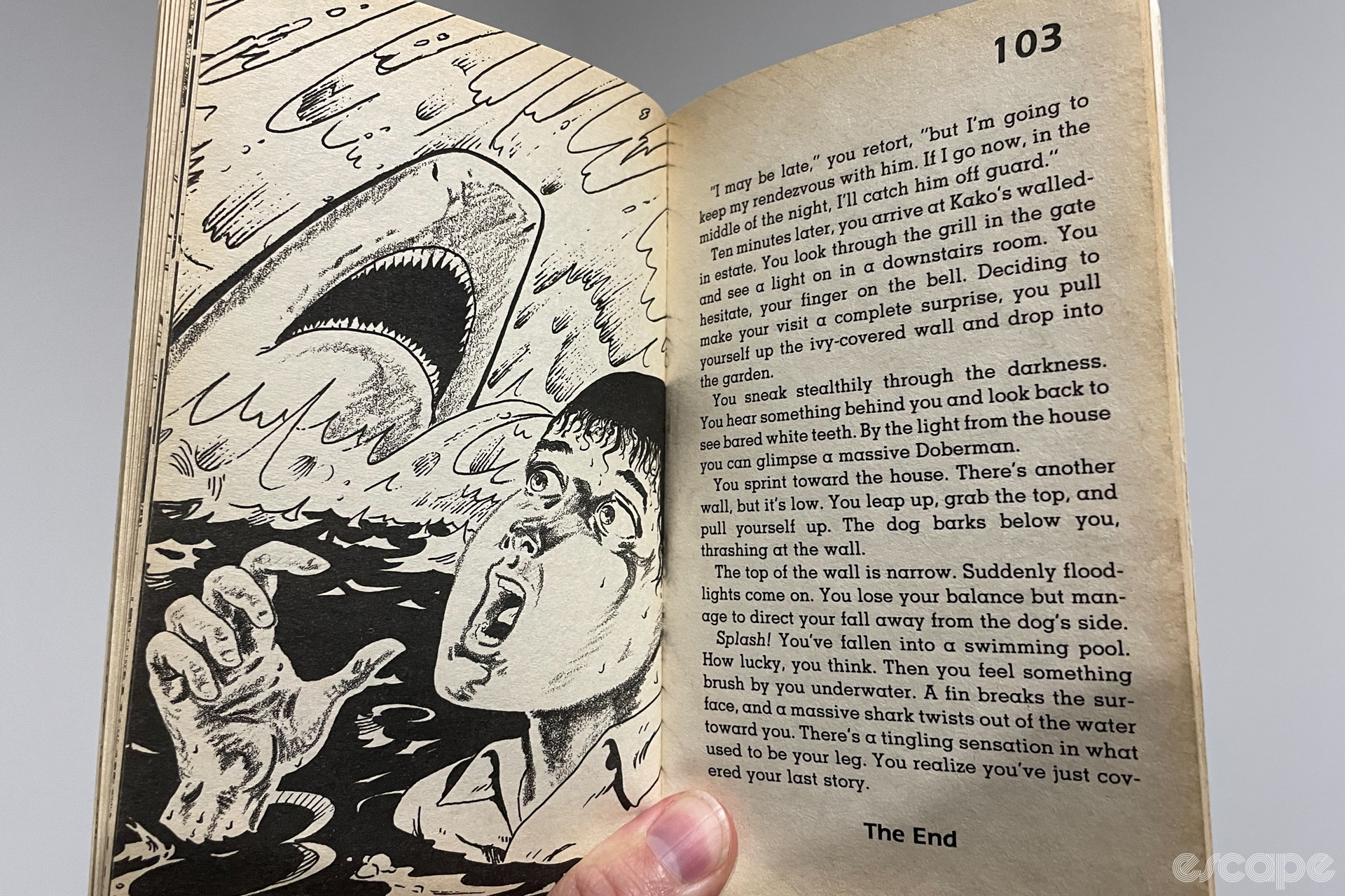 A photo of the inside of a book. On the left page there's an illustration of a shark about to eat a concerned-looking man. On the right page is text from the book describing the scene.