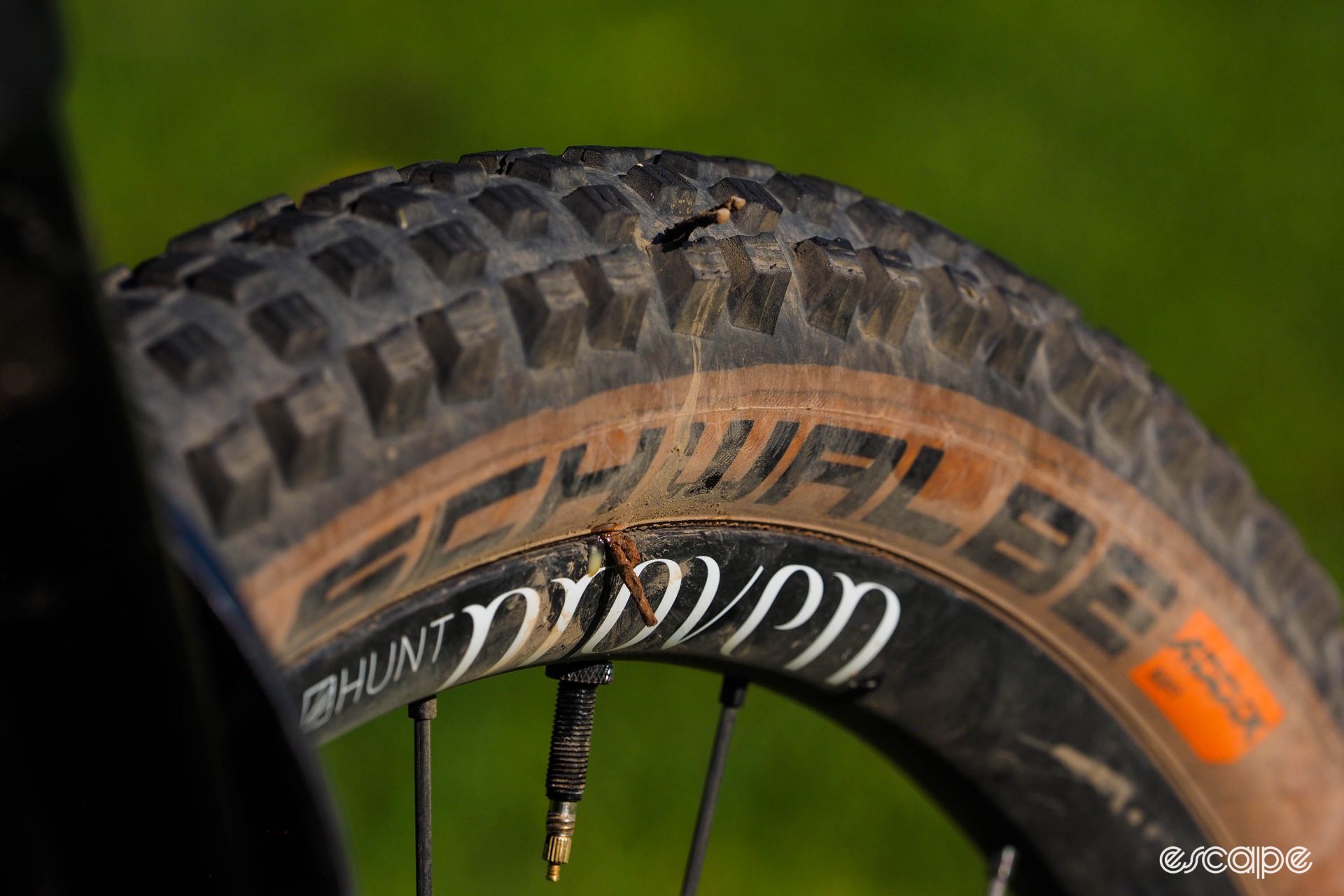 Schwalbe Wicked Will tire with tubeless plugs inserted