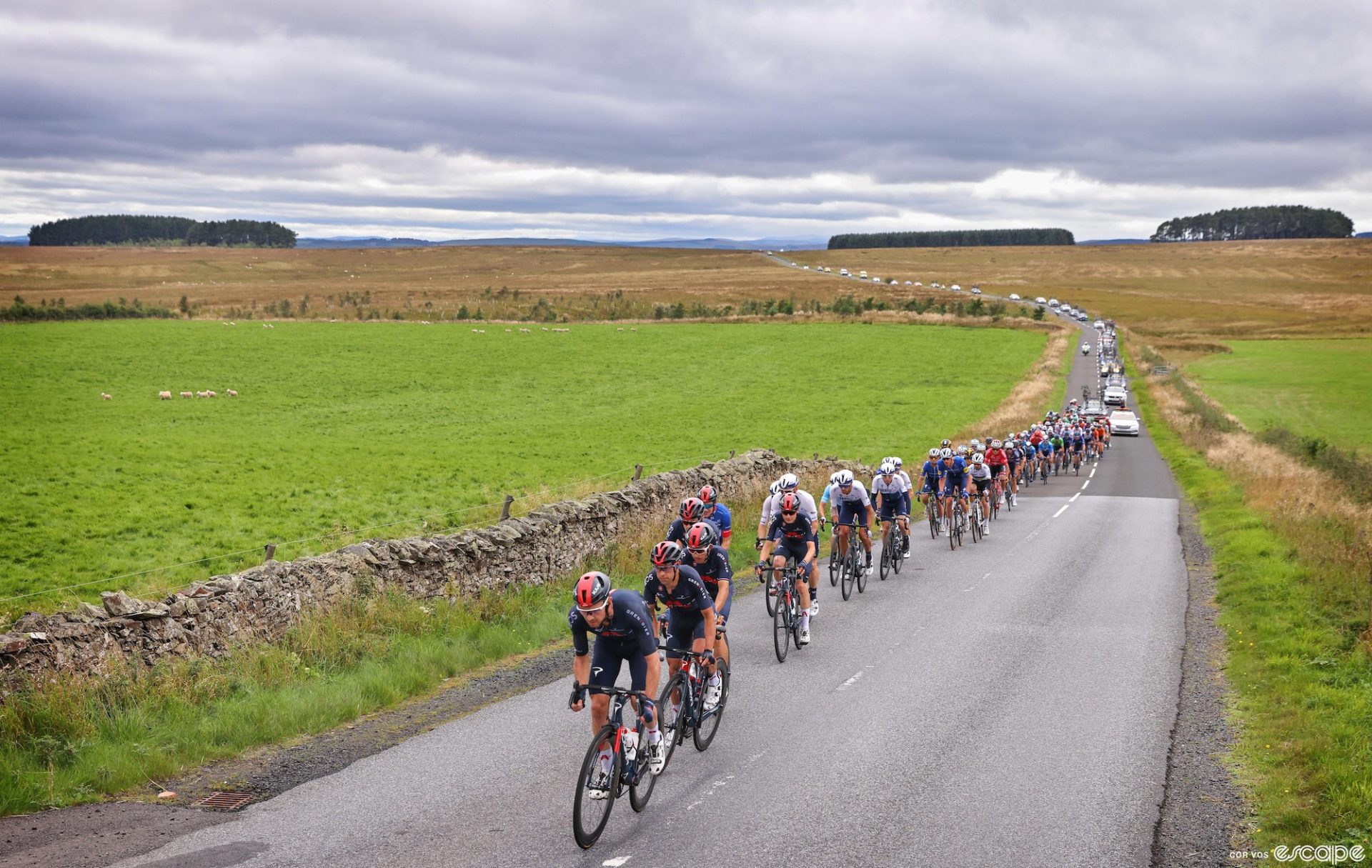 The Ineos Grenadiers team leads the peloton across a lush green landscape in Scotland en route to Edinburgh on stage 7 of the 2021 Tour of Britain.
