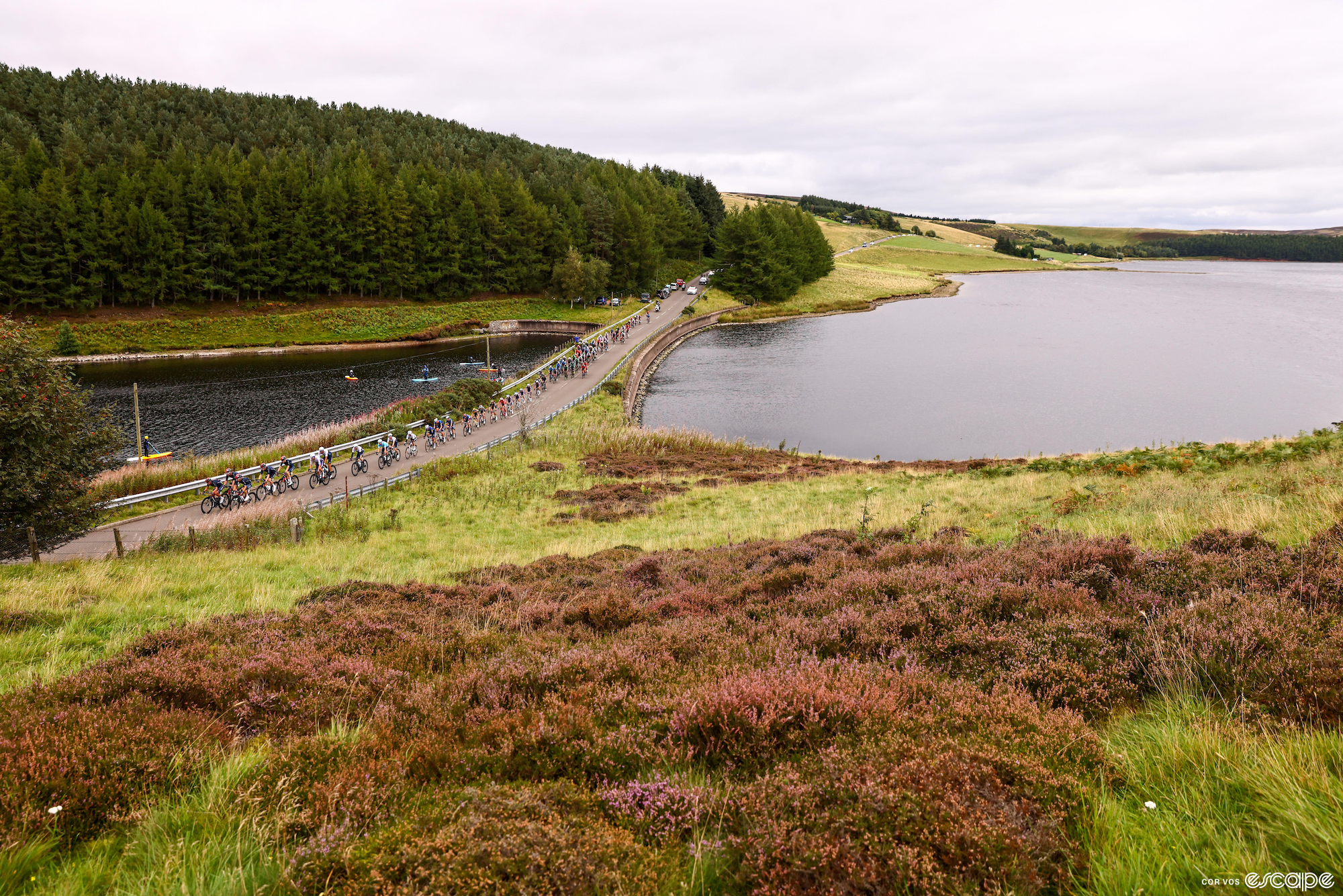 Another landscape shot of a pack of riders rolling past lush green fields and heather, over a bridge, in the Scottish countryside.