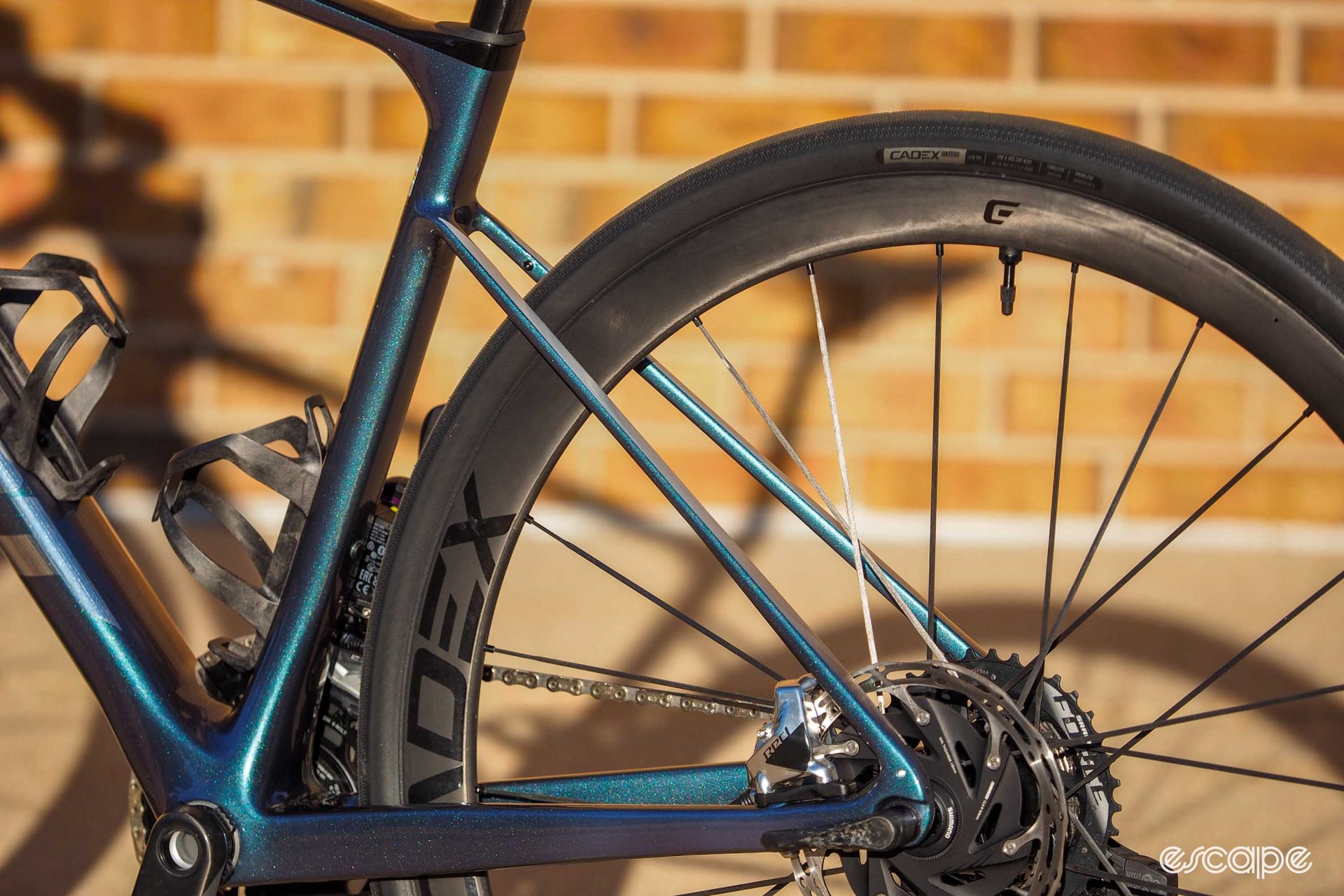 The rear triangle of the 2024 Giant Defy Advanced SL shows seatstays that are even more notably flattened than the 2023 model.