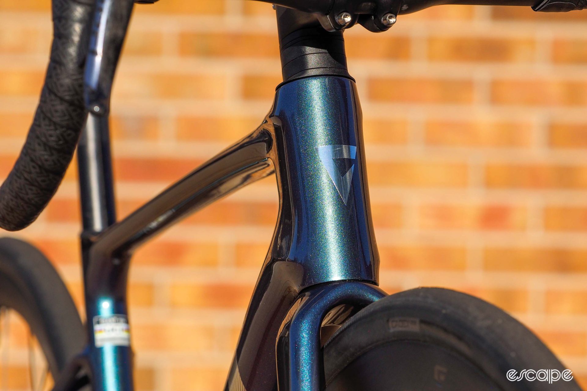The head tube of the 2024 Giant Defy Advanced from the front, showing the internal routing.