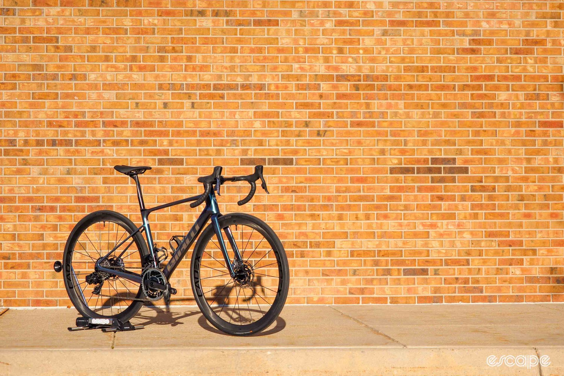 The 2024 Giant Defy Advanced SL 0 model in our test, shown in profile against a red brick wall in warm light.