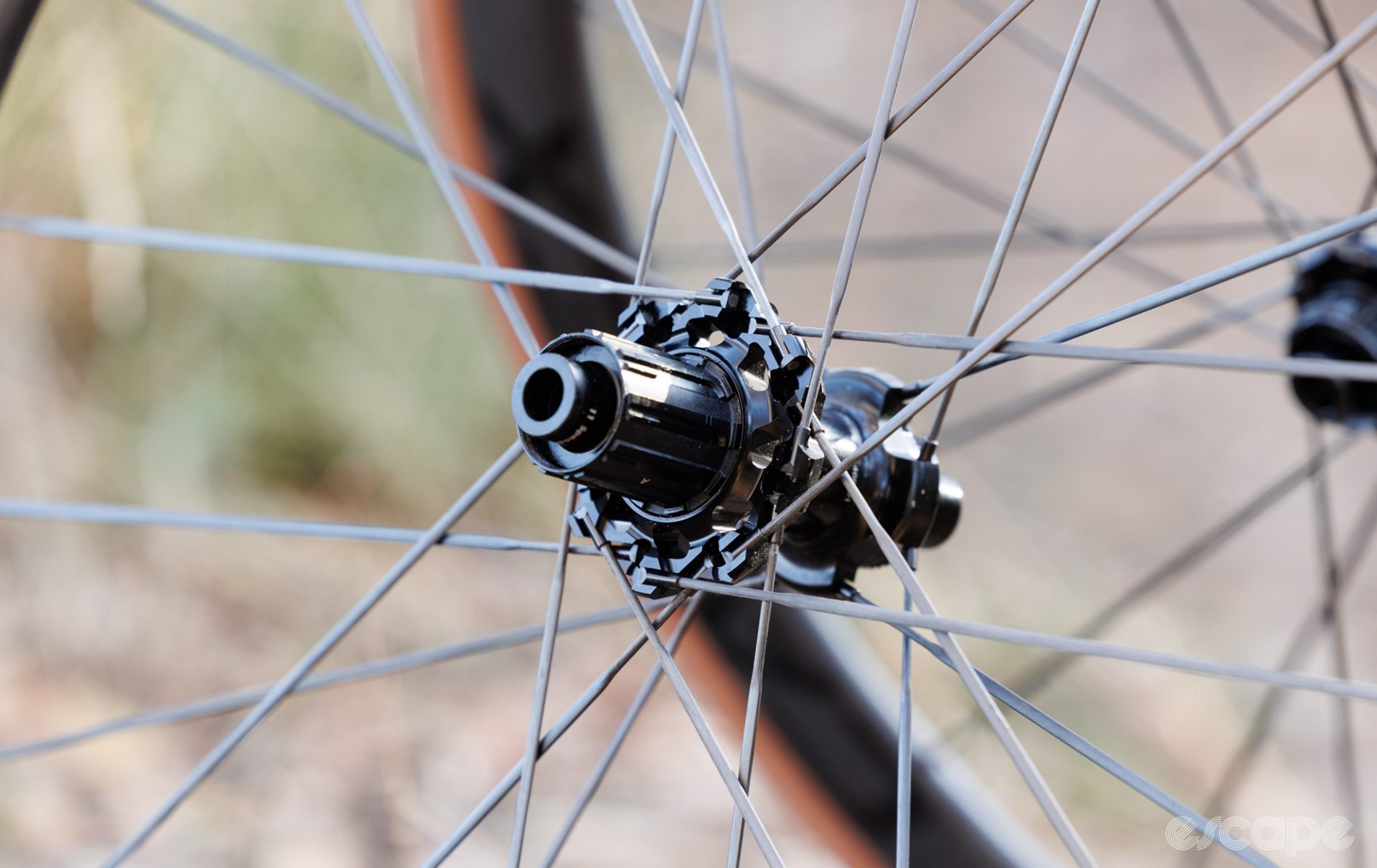 A close-up of the Cadex 36 Disc rear hub, with higher flanges and lots of notches and nooks for the straight-pull spokes, where dirt can collect.