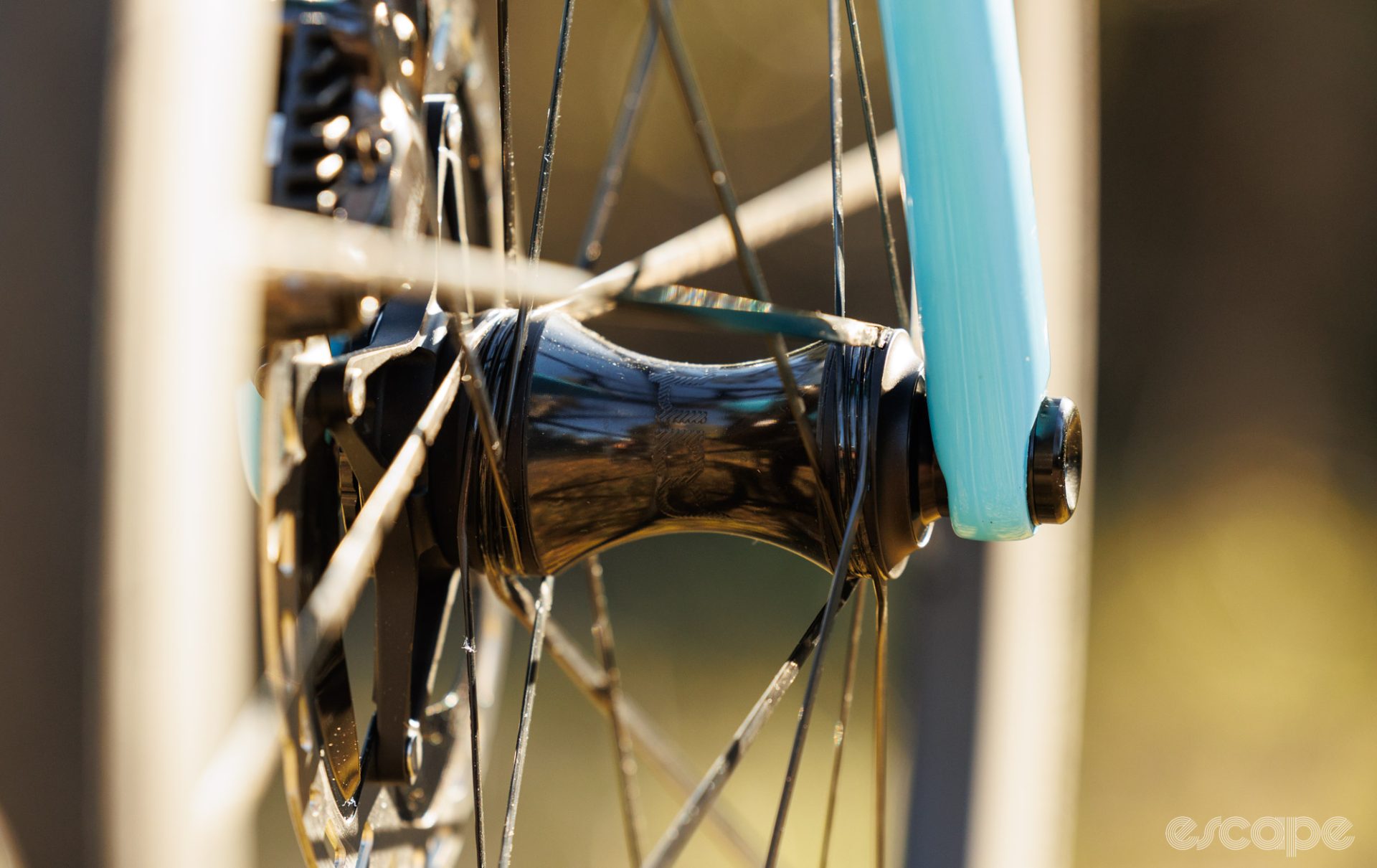 A closeup of the front hub, installed in a fork.