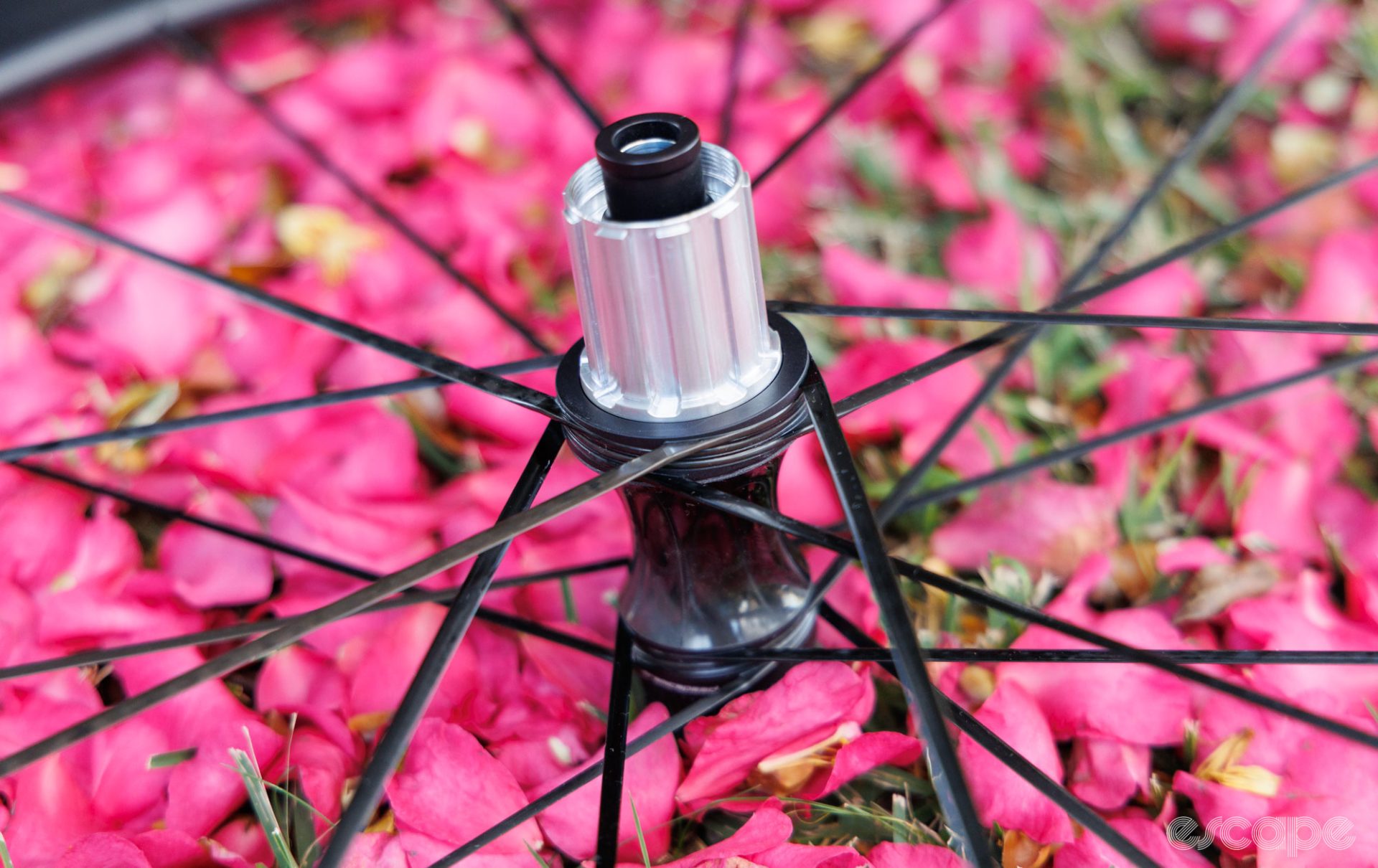 The rear hub of a Partington MKII rear wheel, showing the spoke design. The wheel is placed on a bed of pink flowers. 