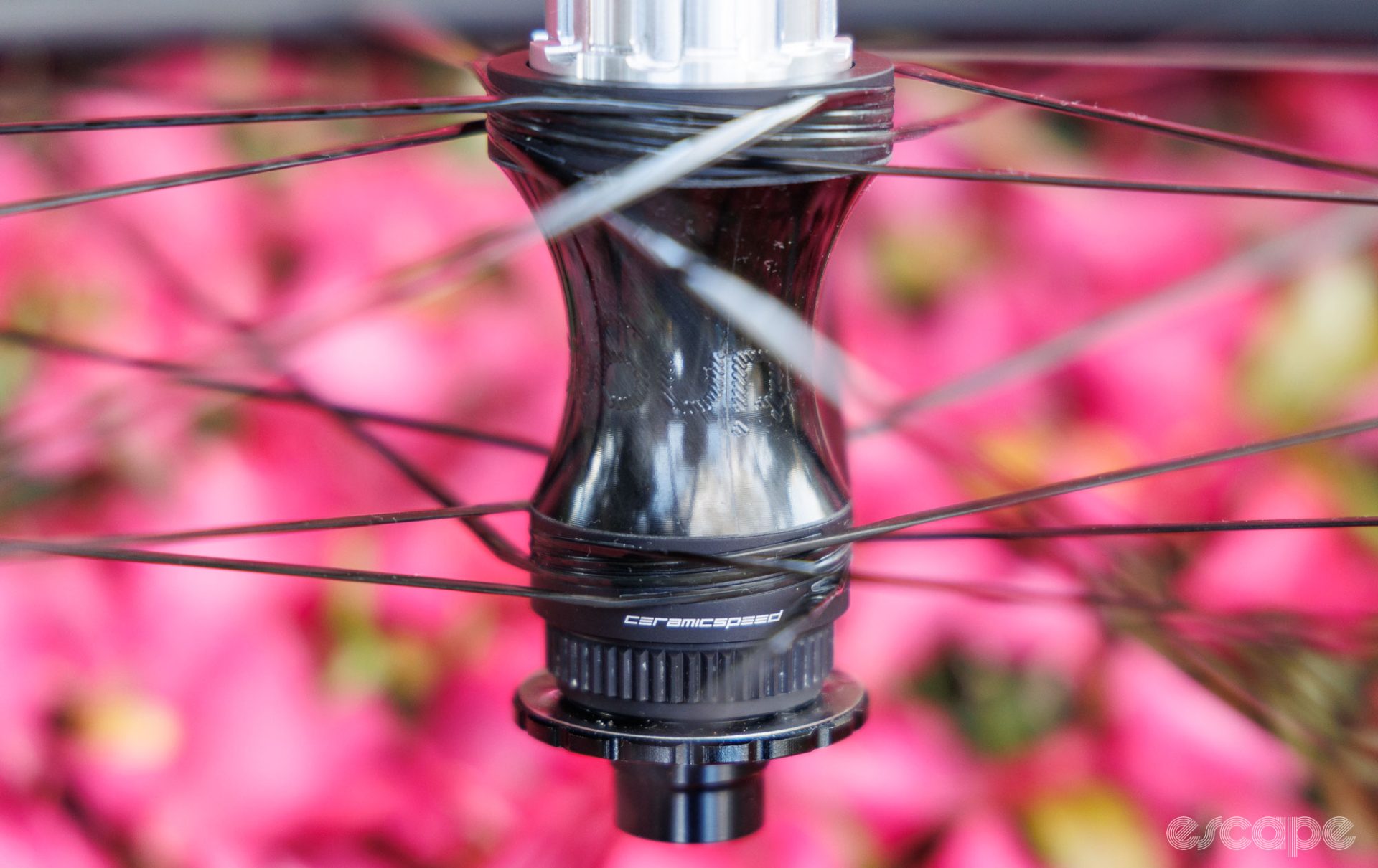 A close up of the Partington MKII rear hub, showing the hub finish and CeramicSpeed logo. 