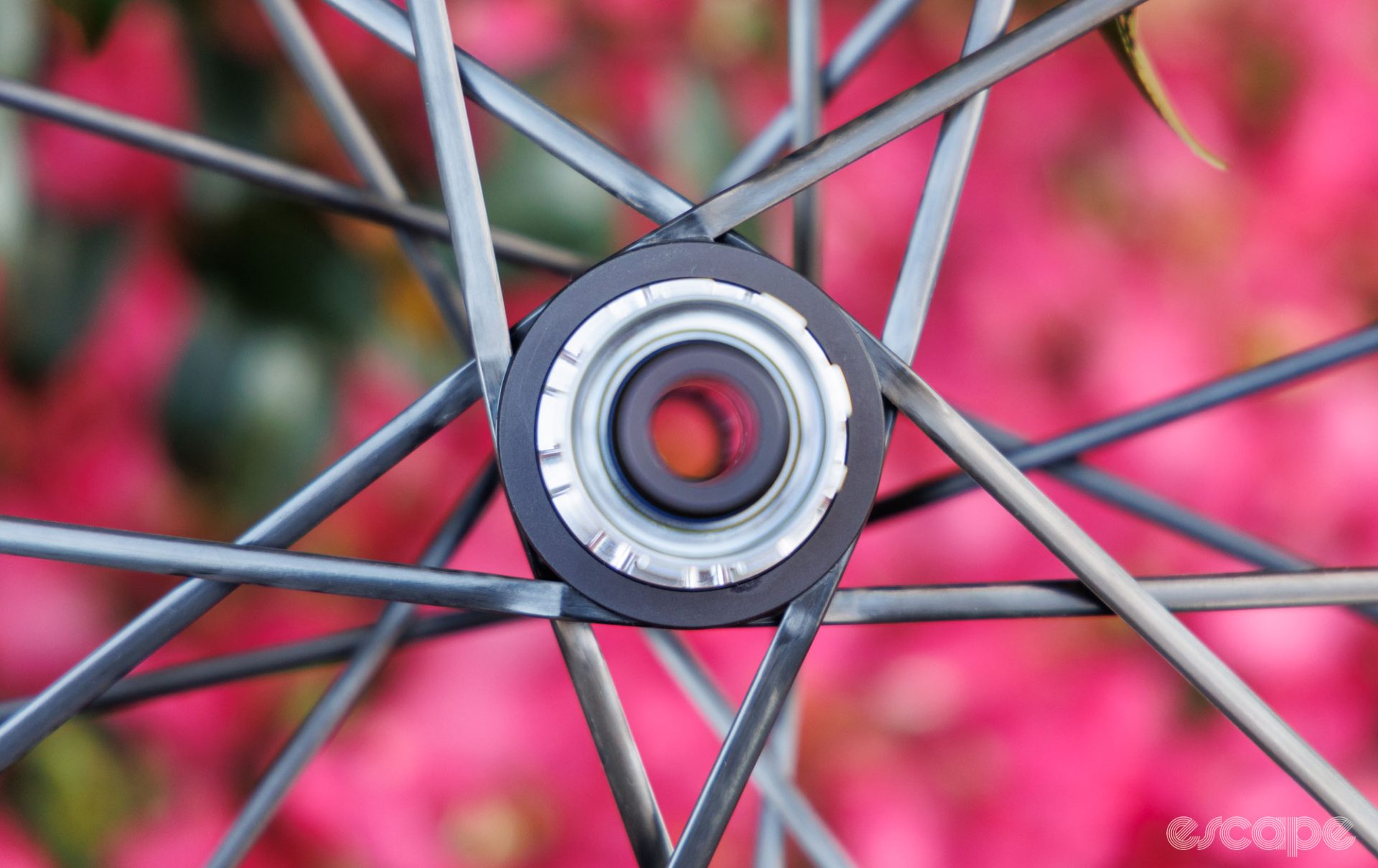 The Partington hub shell in closeup. The spokes wrap around the hub shell inside a flange, laying flush to the flange and overlapping each other as they exit.