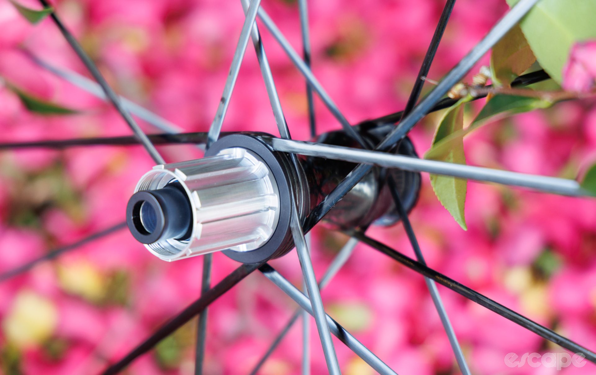 A closeup of the drive side of the Partington MKII rear hub.