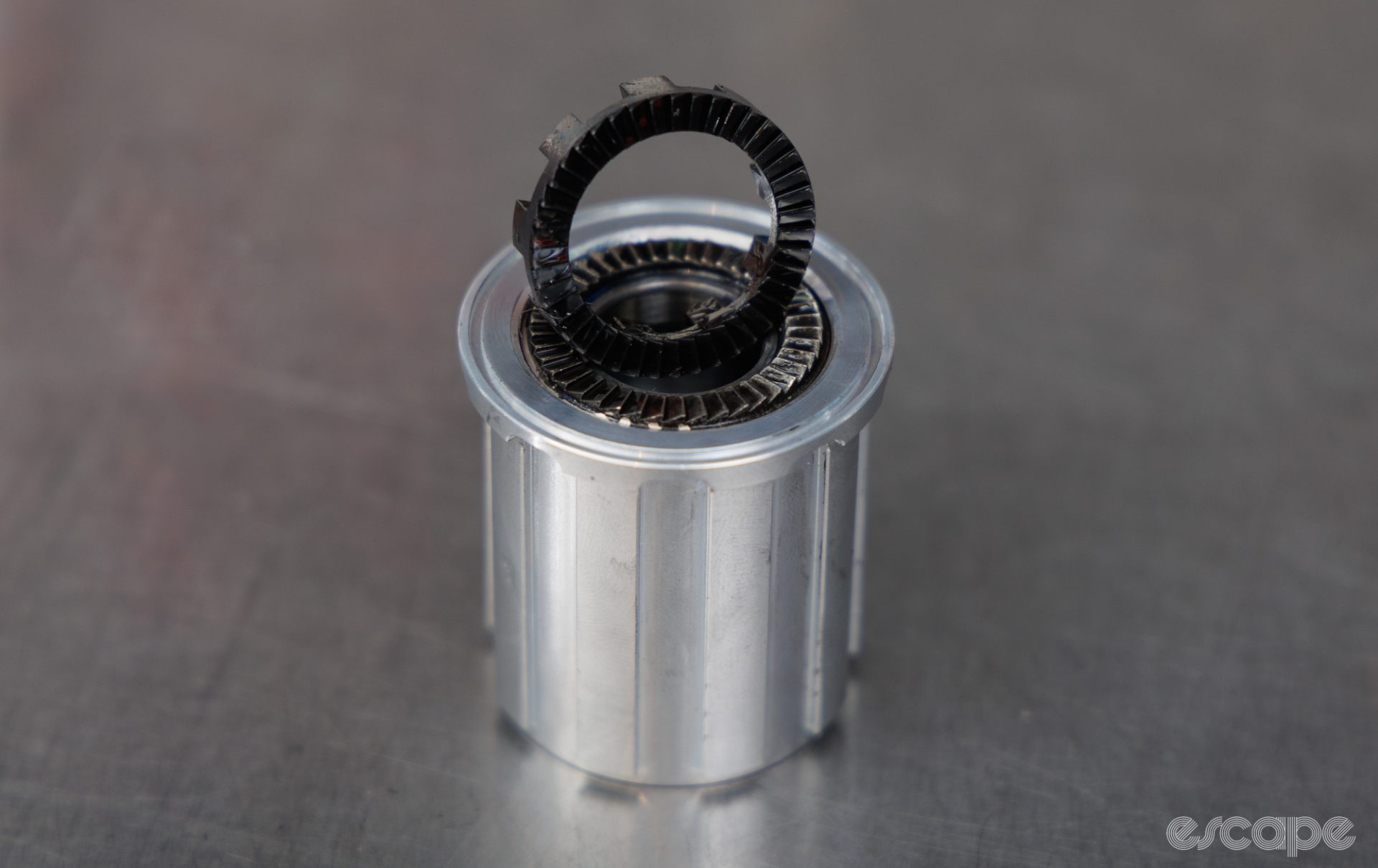 The Partington MKII freehub ratchet ring, with both sides of the ratchet teeth visible. 