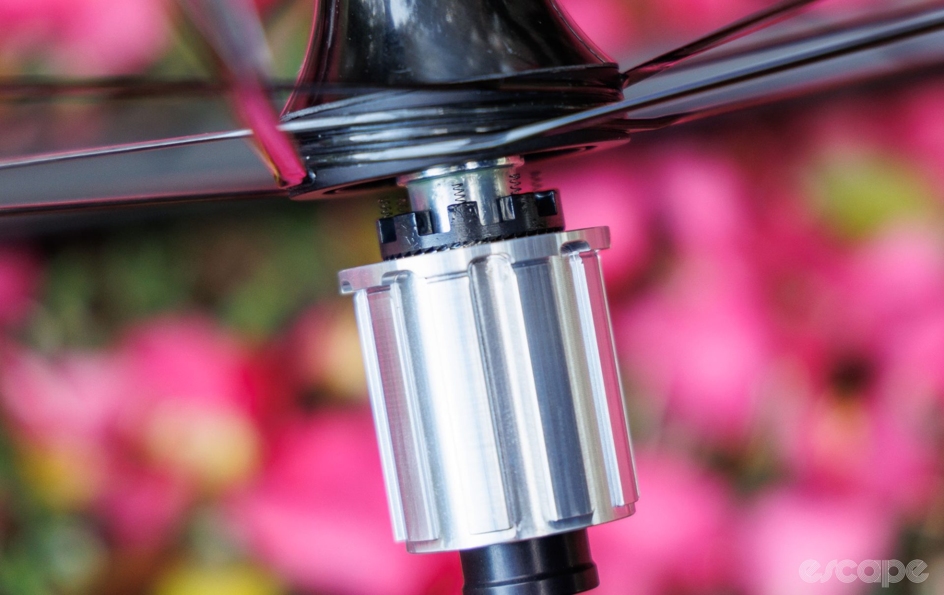 The Partington MKII freehub ratchet ring pulled gently away from the hub with six small compression springs. 