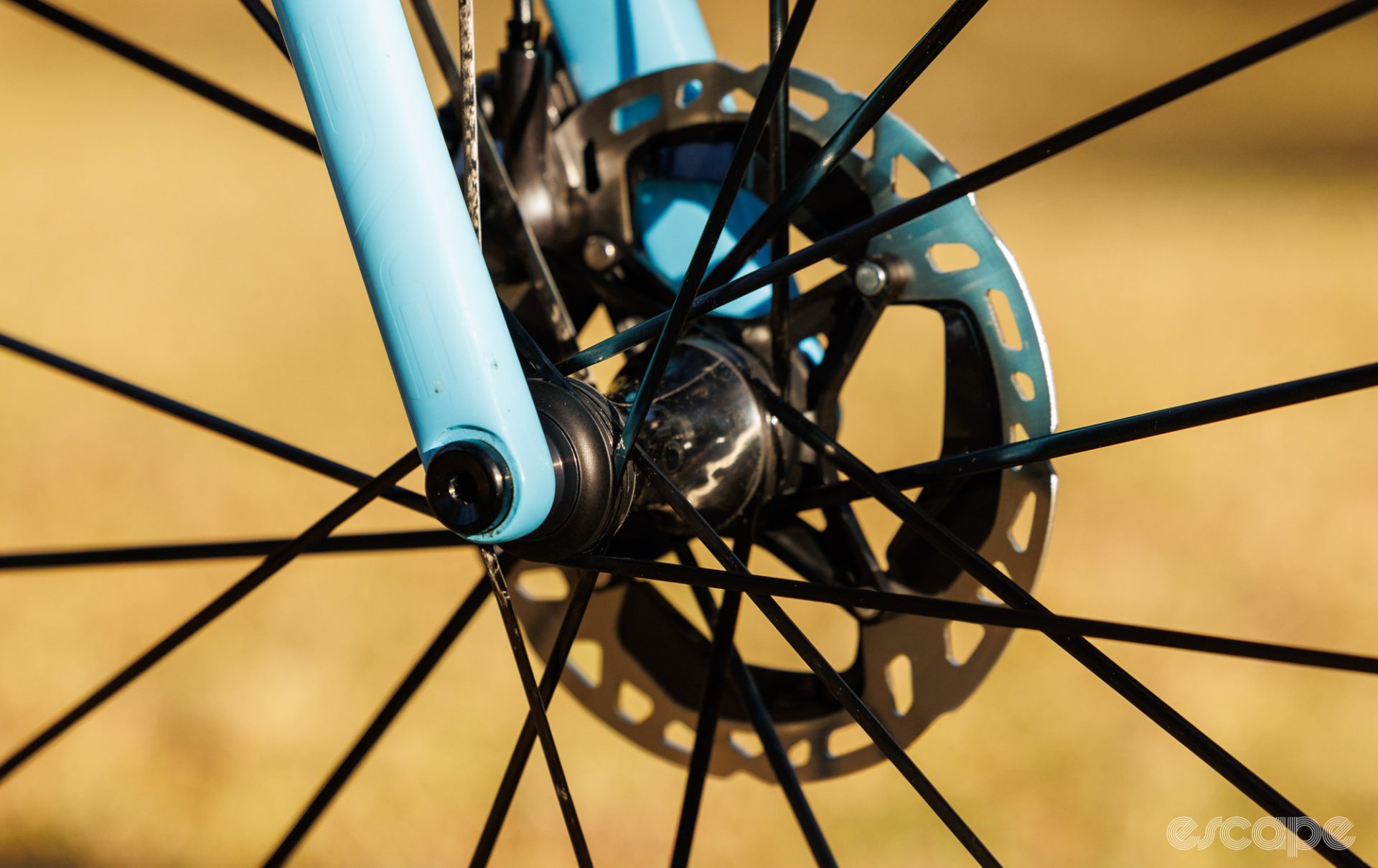 The front hub and disc rotor.
