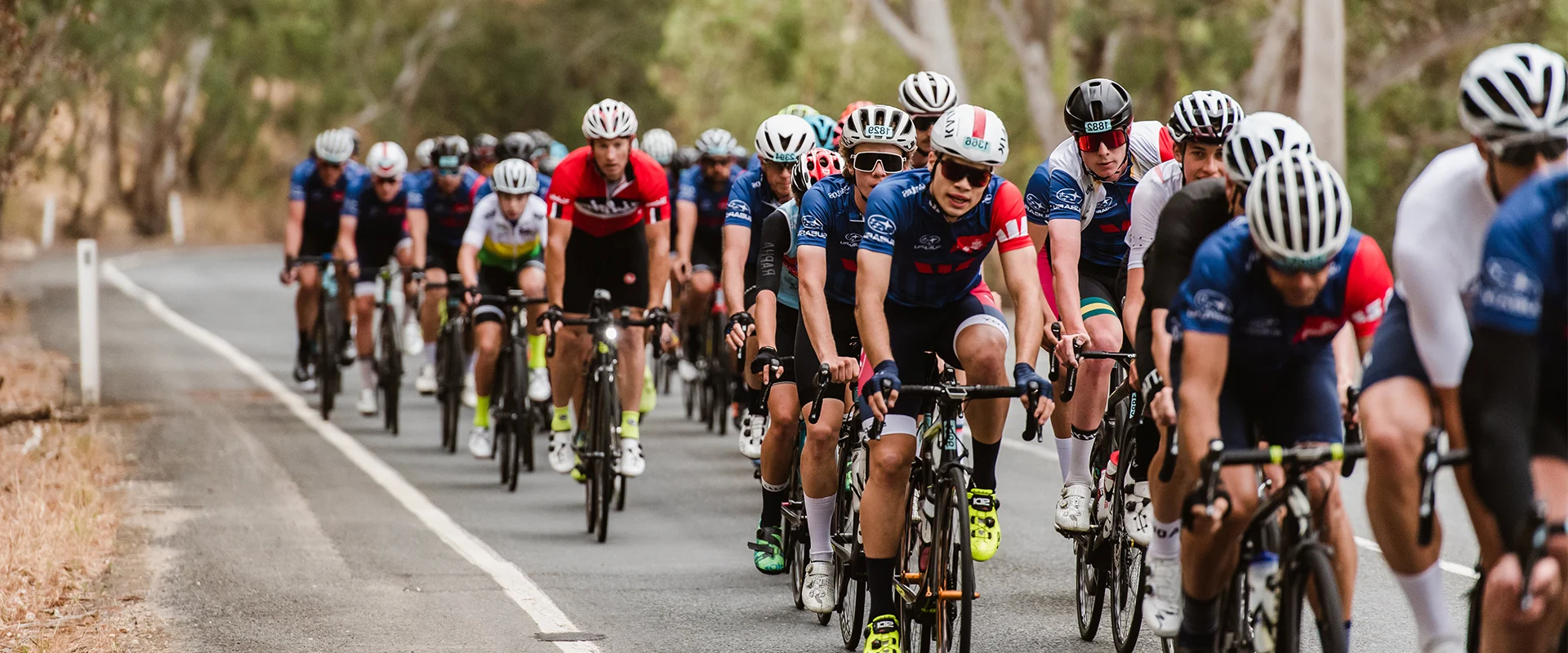 A group of amateur road cyclists rides through the Australian bush near Adelaide.