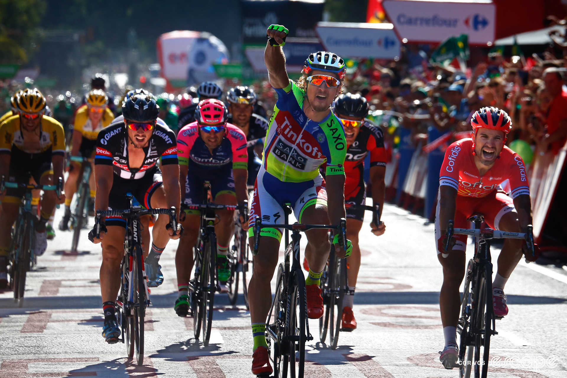 Peter Sagan celebrates winning a stage at the 2015 Vuelta a España with one arm aloft.