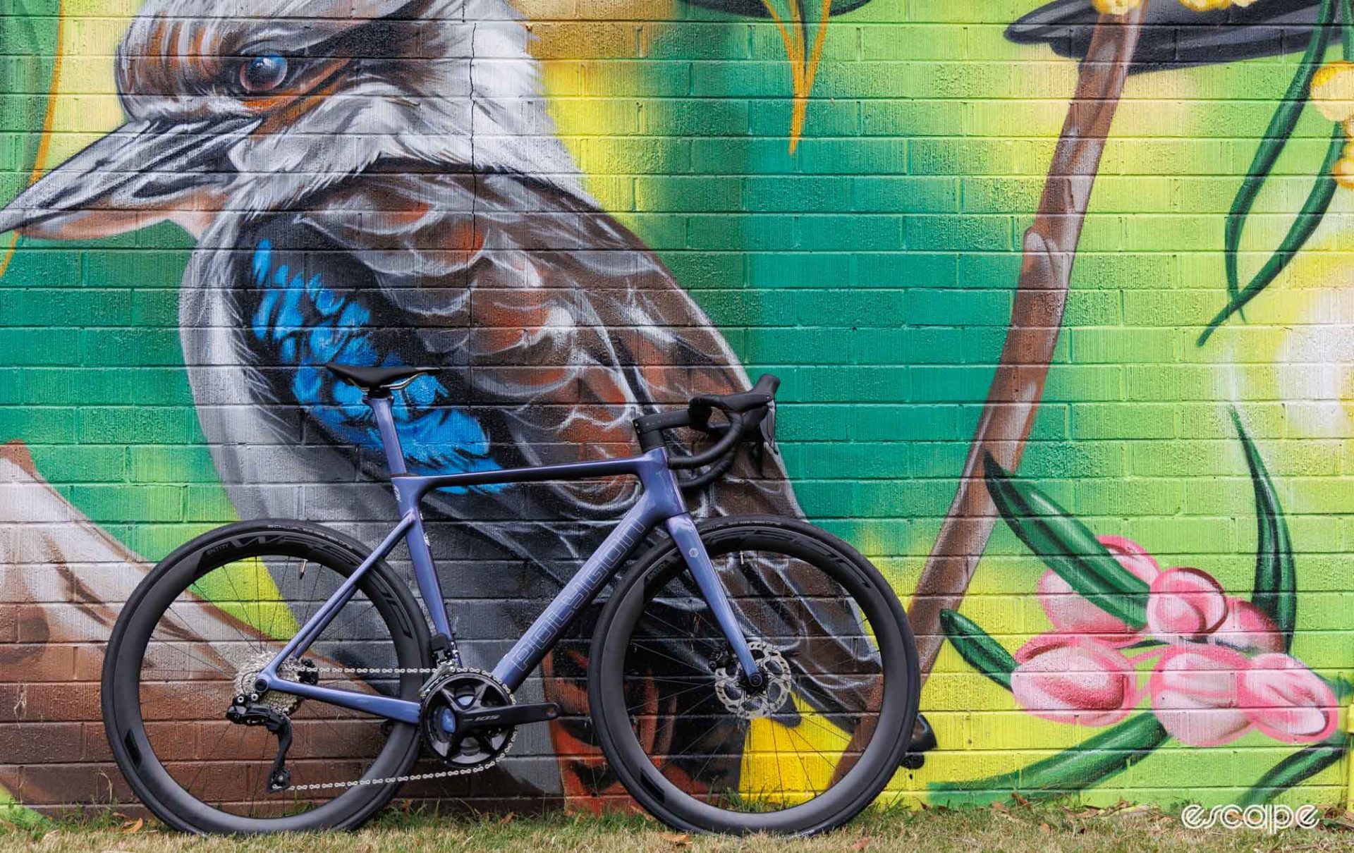A side-on view of the Polygon Helios A7X, taken against a painted wall of a Kookaburra. 