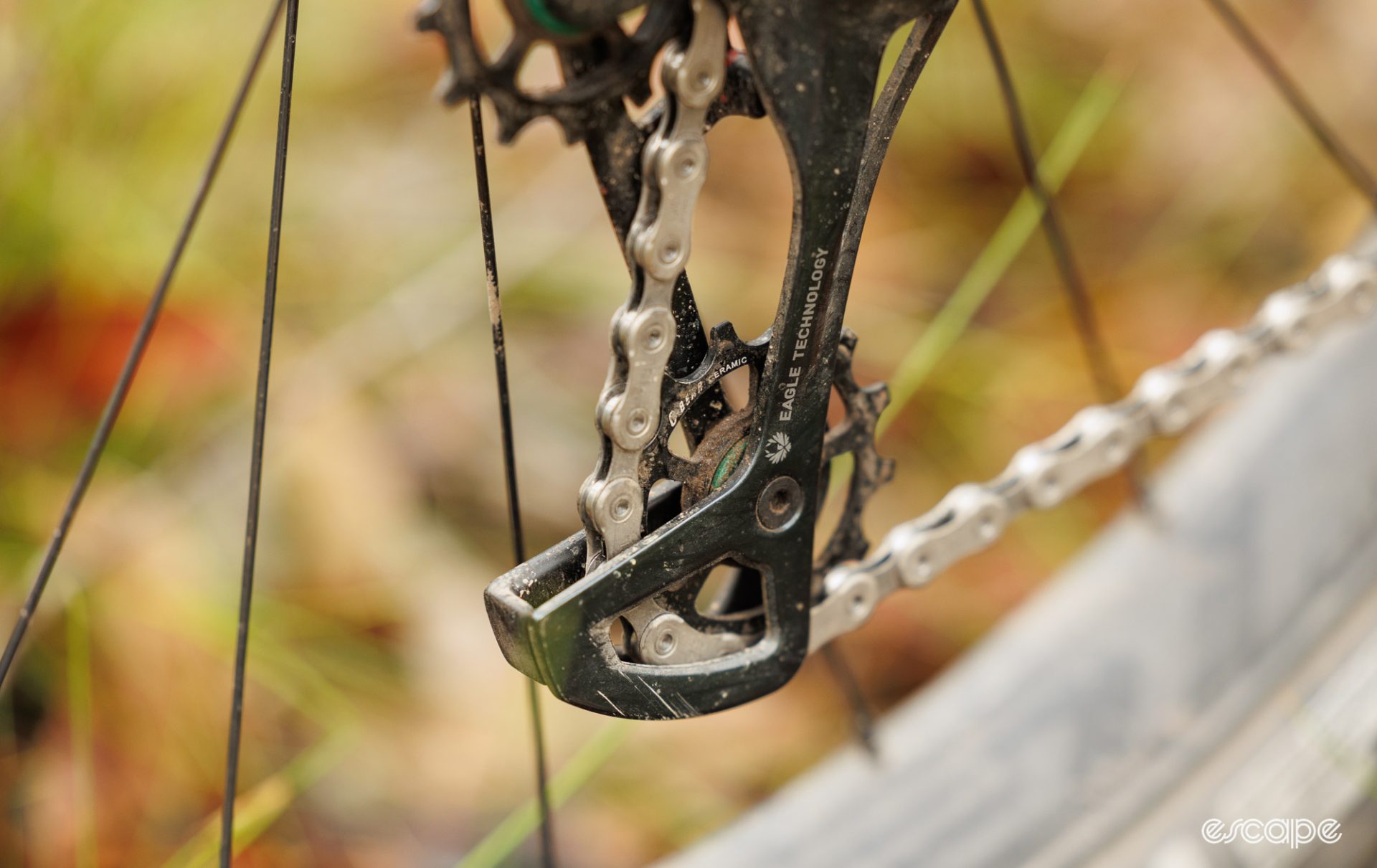 A close-up of the customised C-Bear ceramic pulley wheels. 
