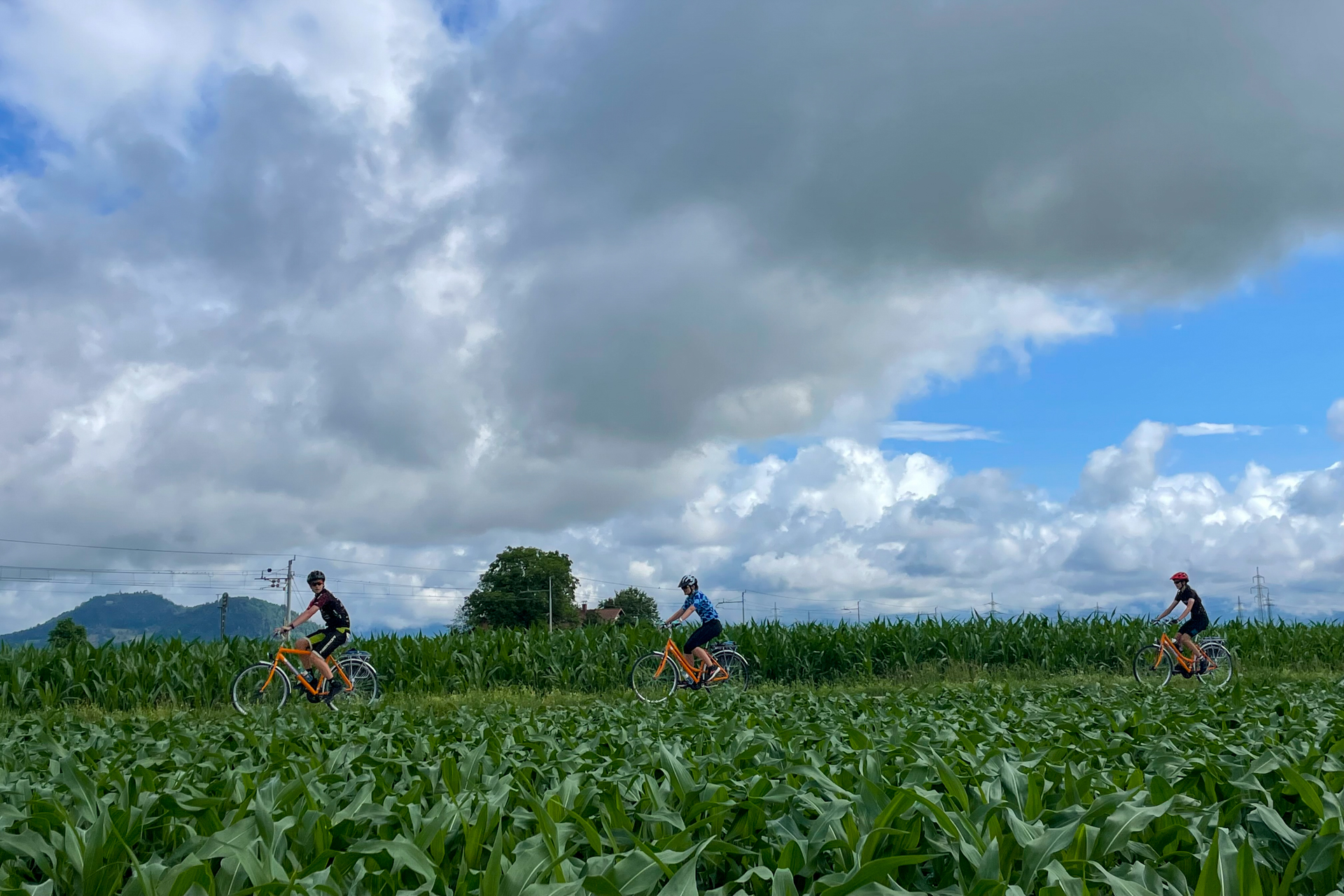Three cyclists ride along a road with corn in the foreground and a moody sky in the background.