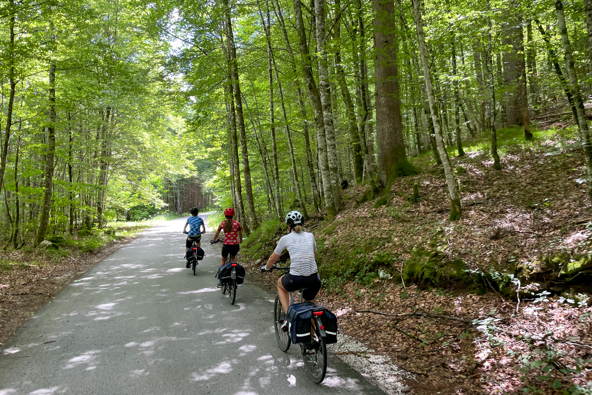 Three riders – a mother and her two teenage children – ride on a narrow road through a thick forest.