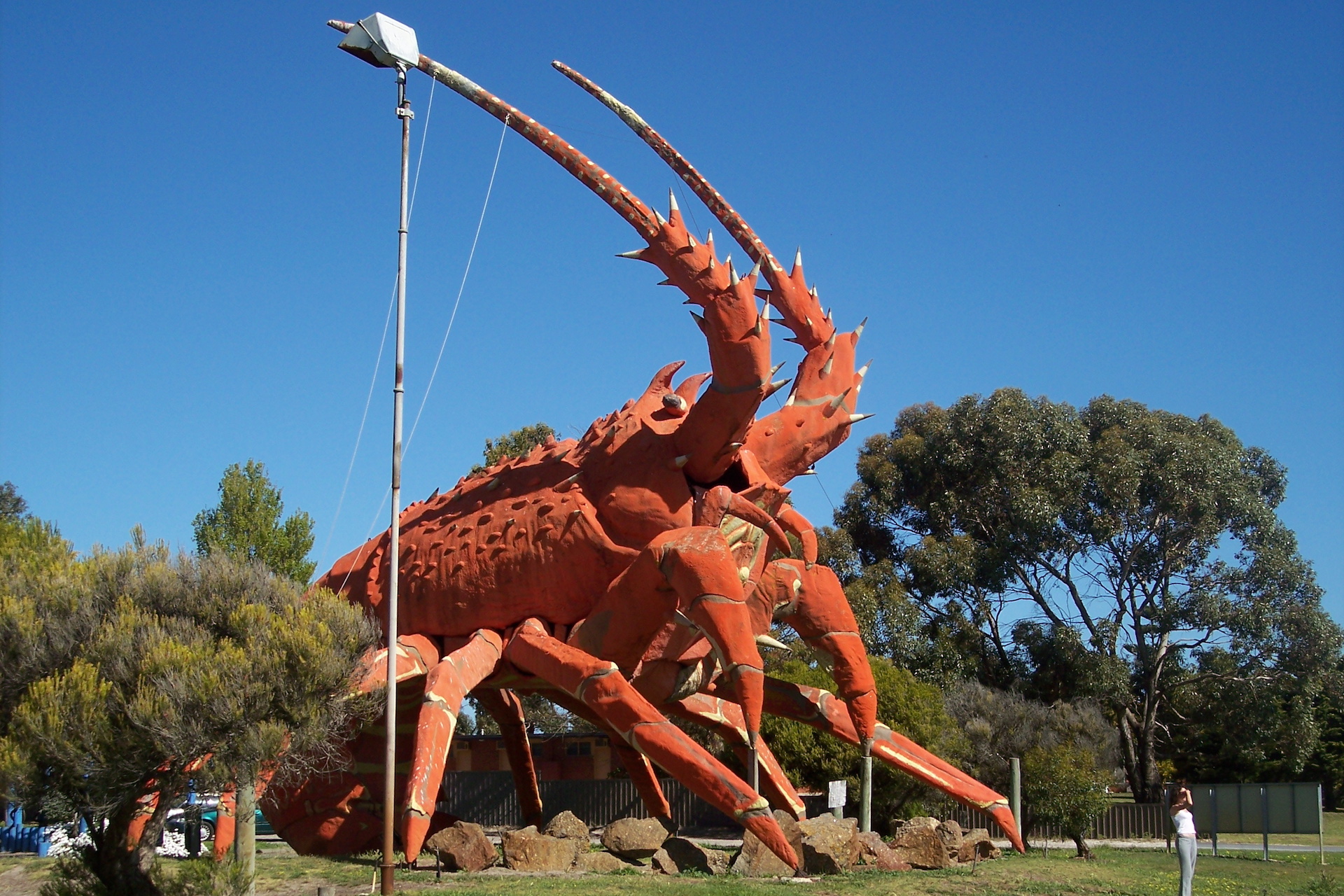 A person stands in front of a giant sculpture of a red lobster which towers over the person.