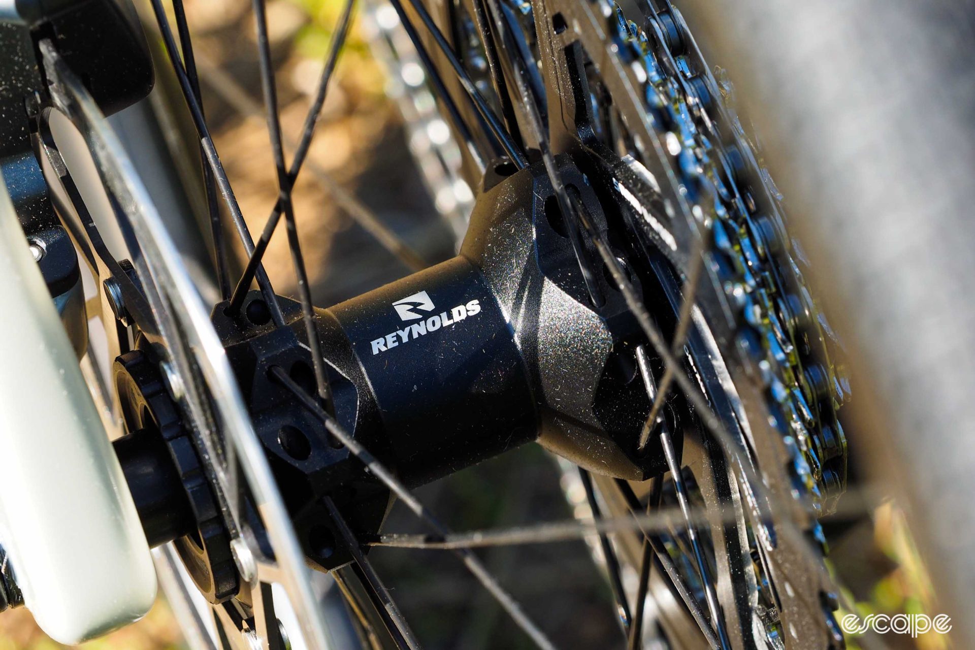 A closeup of the house-brand Reynolds rear hub, showing straight-pull spokes and center-lock rotor attachment.