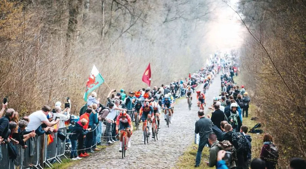 A string of riders, led by Mads Pedersen, navigate the Troué d'Arenberg.