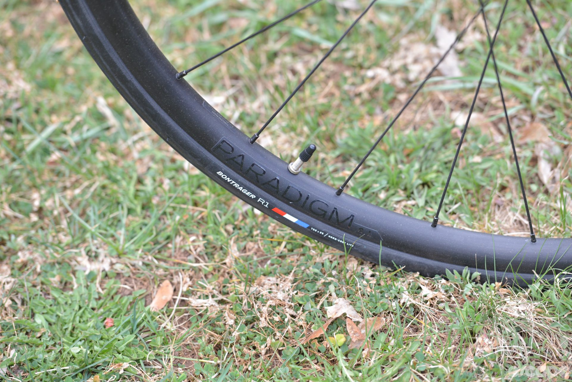 The Bontrager Paradigm aluminum rims and those awful, awful wirebead R1 Hardcase tires. 