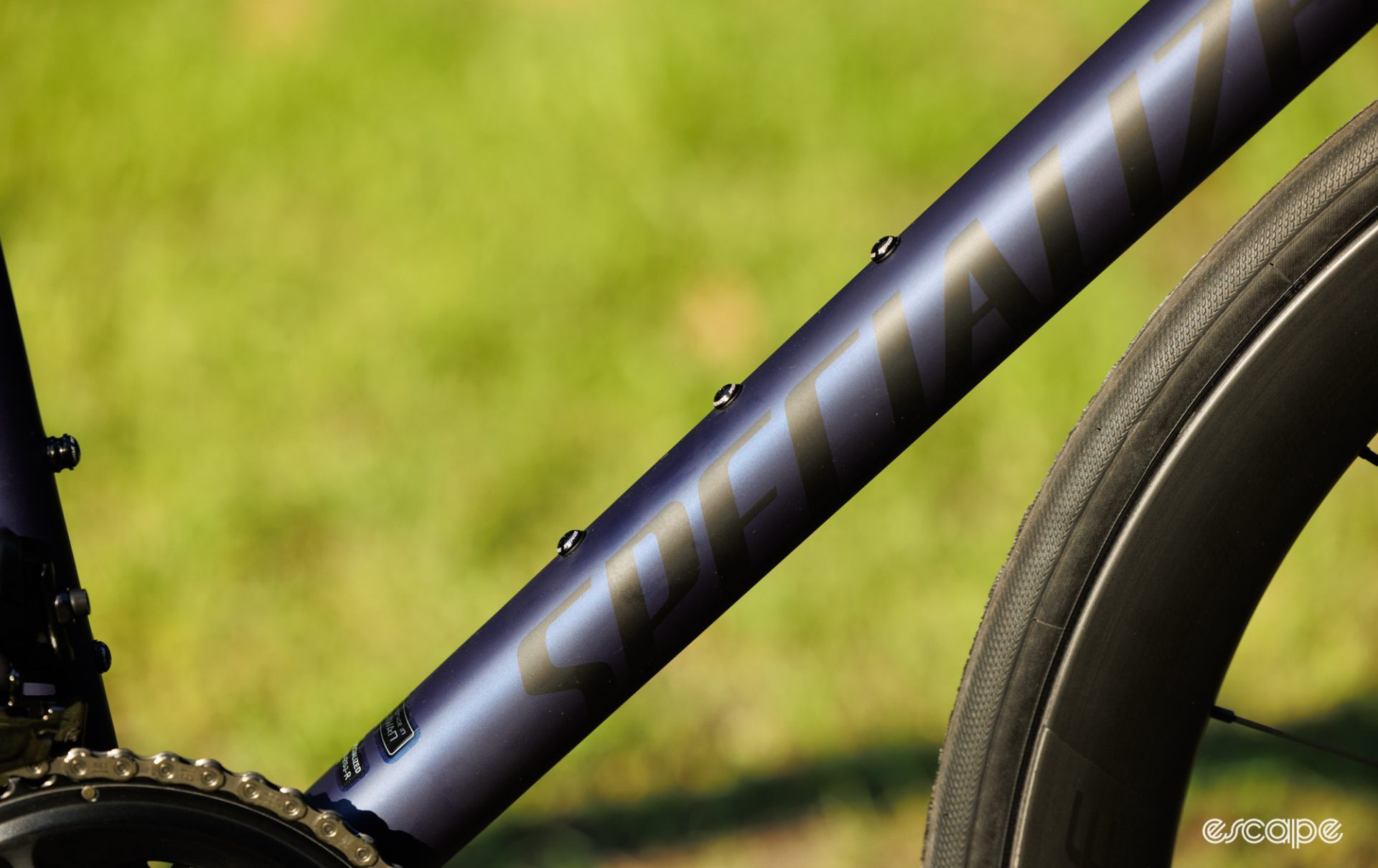Three bidon cage bolts on the downtube of the Specialized Tarmac SL8 Pro Ultegra. 