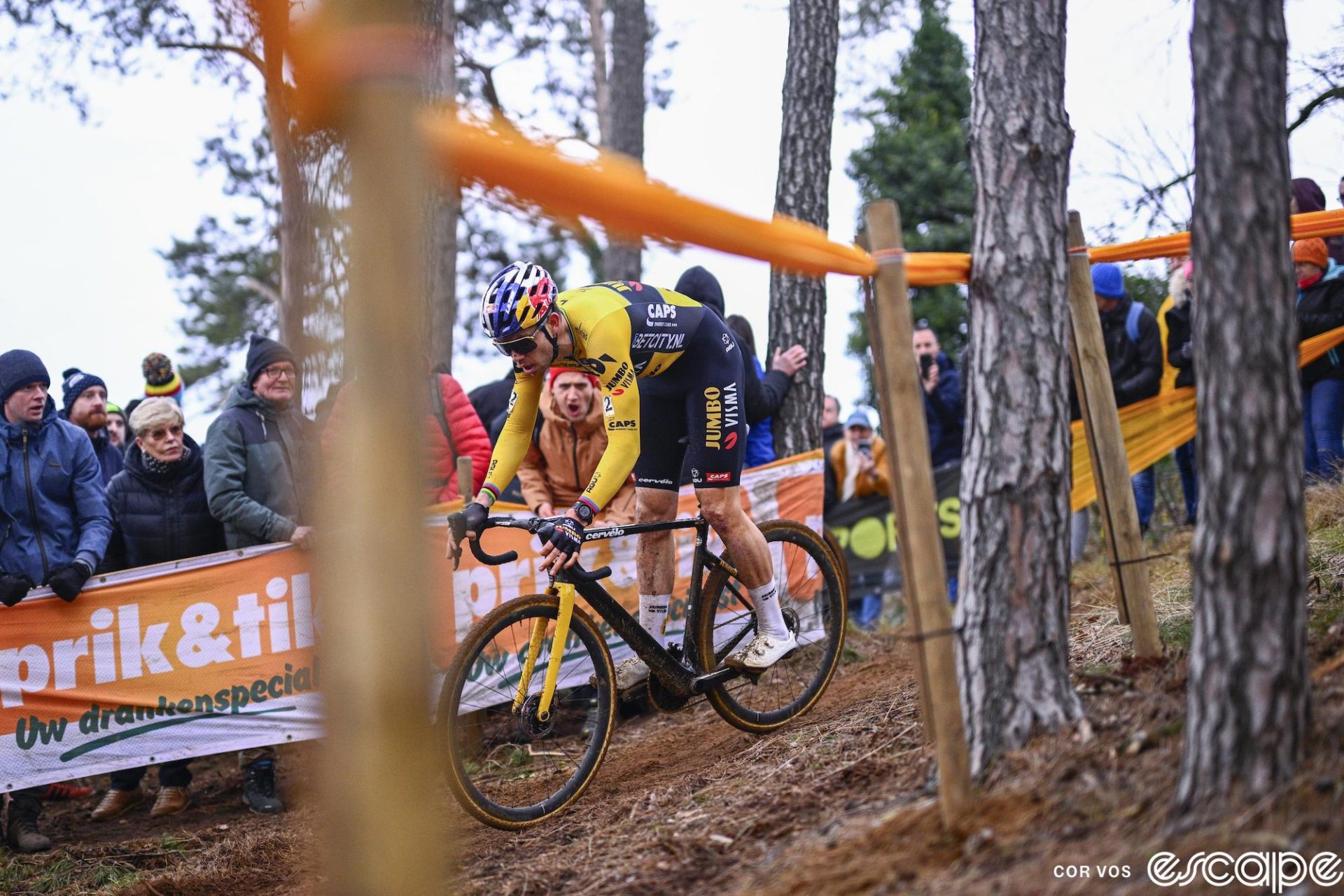 Van Aert descends a tricky section in the trees.