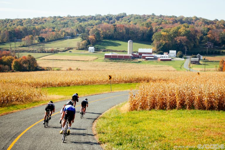 A group of five cyclists descends a paved road through farming country. It's fall, with leaves changing and dry crop fields ready for harvest.