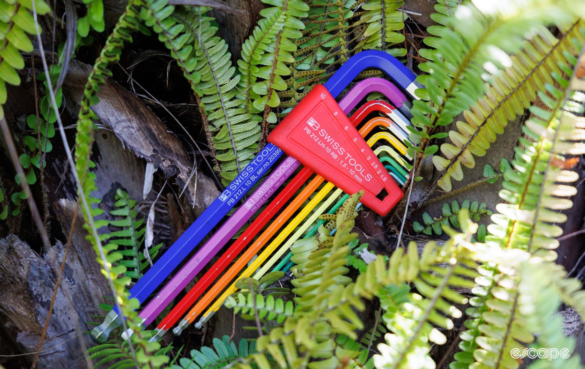 PB Swiss rainbow hex keys placed within green ferns. 
