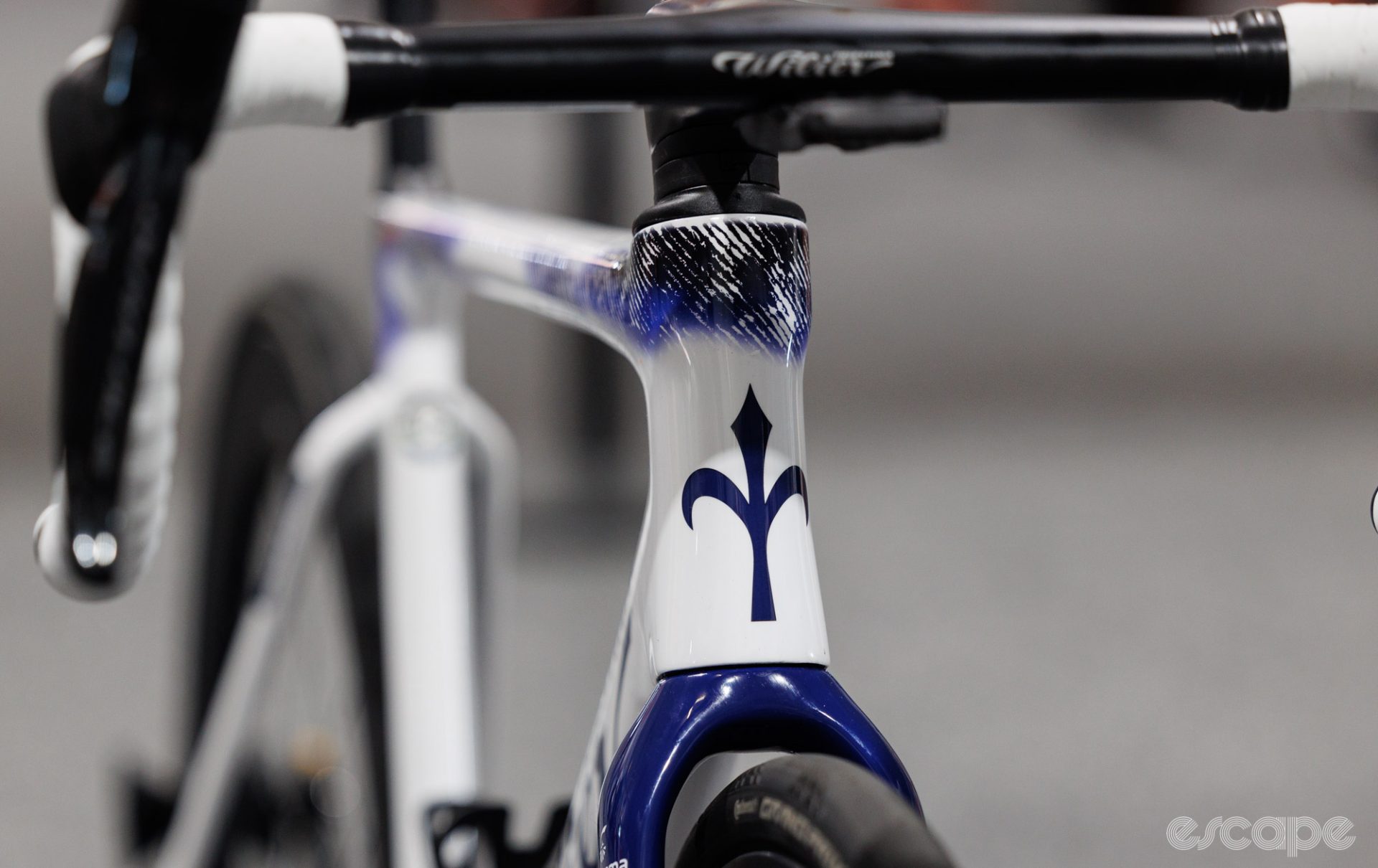 The trident logo on the head tube.