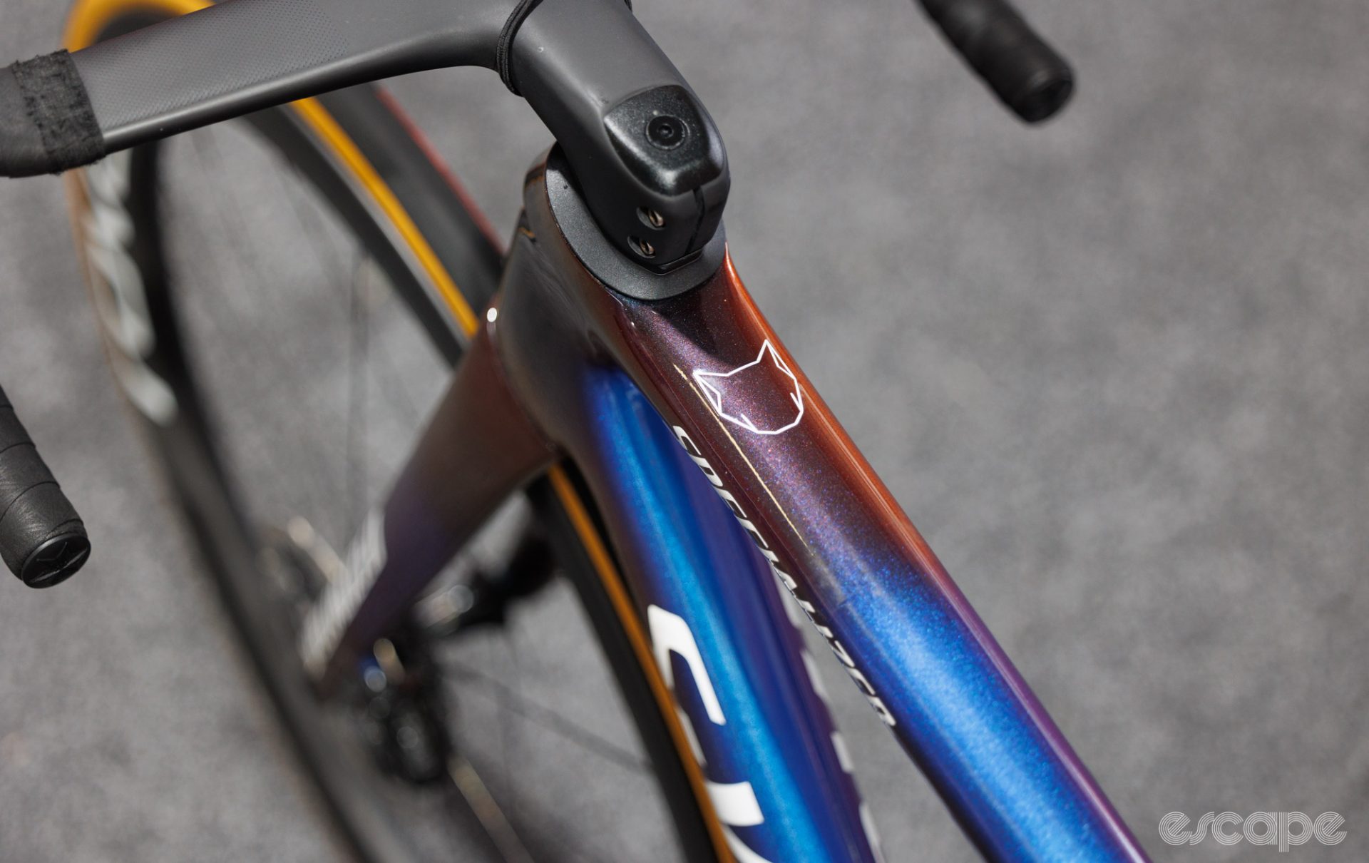 A wolfpack logo seen on the top tube.