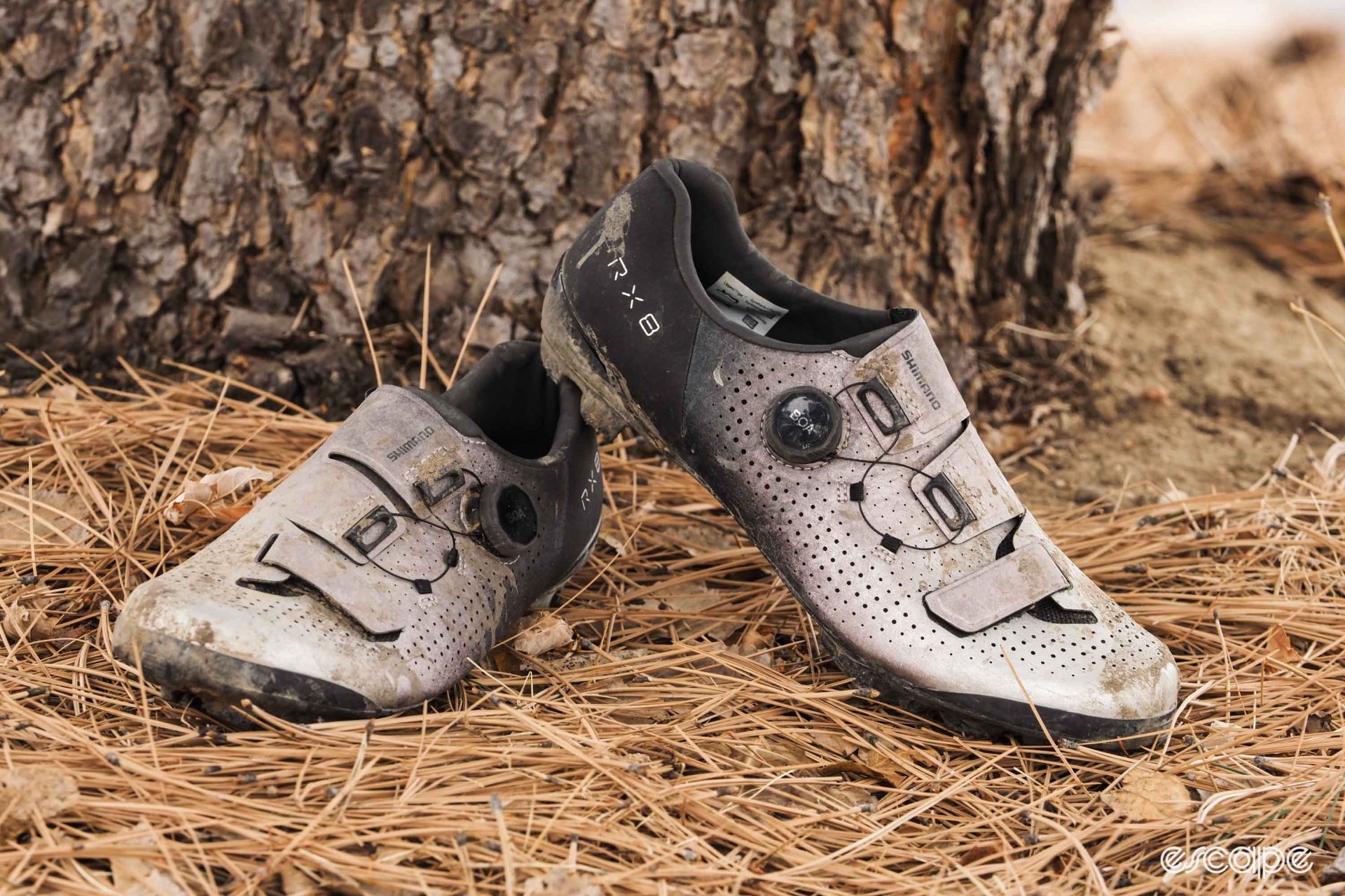 Shimano RX8 gravel shoes in pine needles