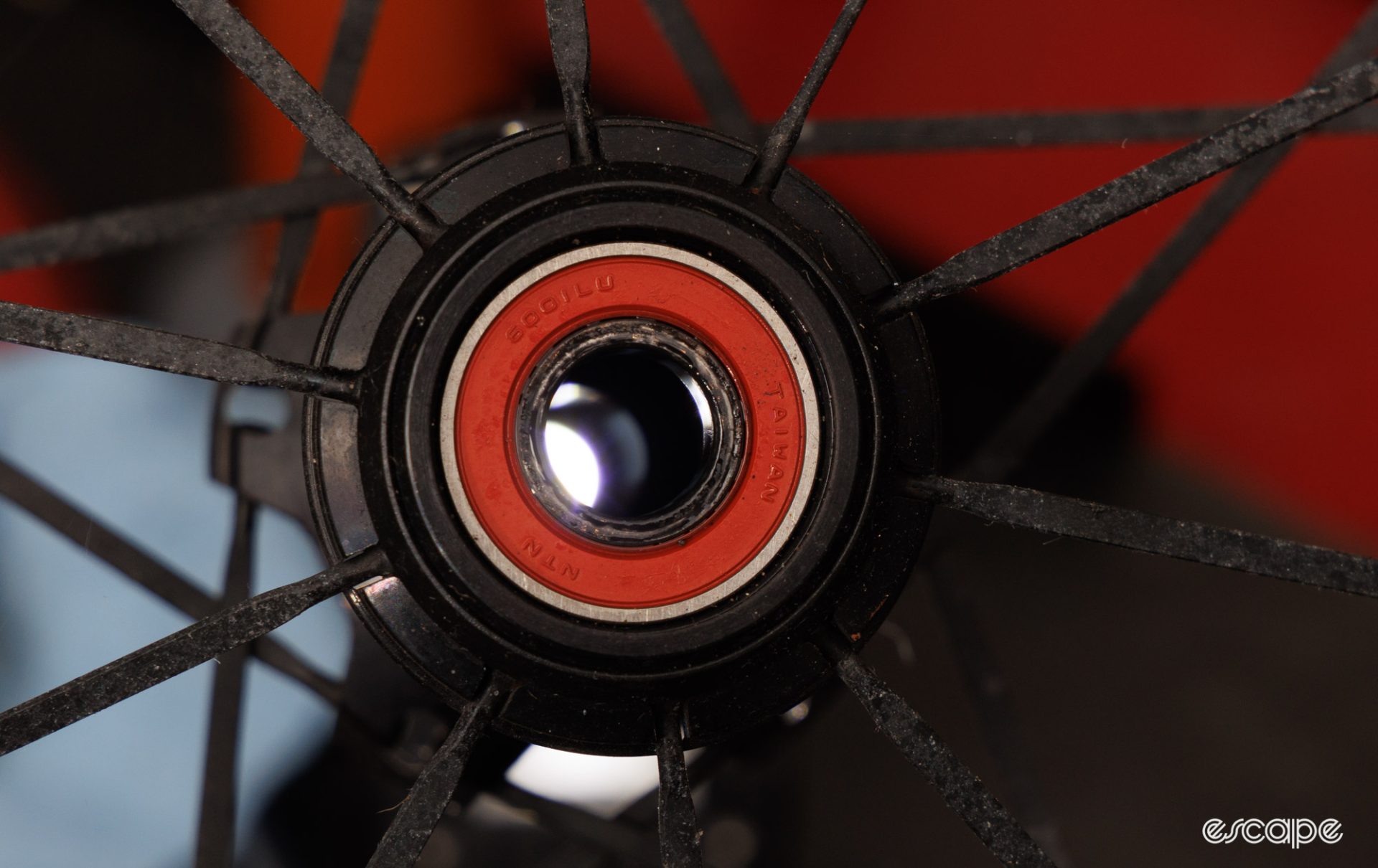 A bearing sits within a bicycle hub shell. The bearing has a red seal. 