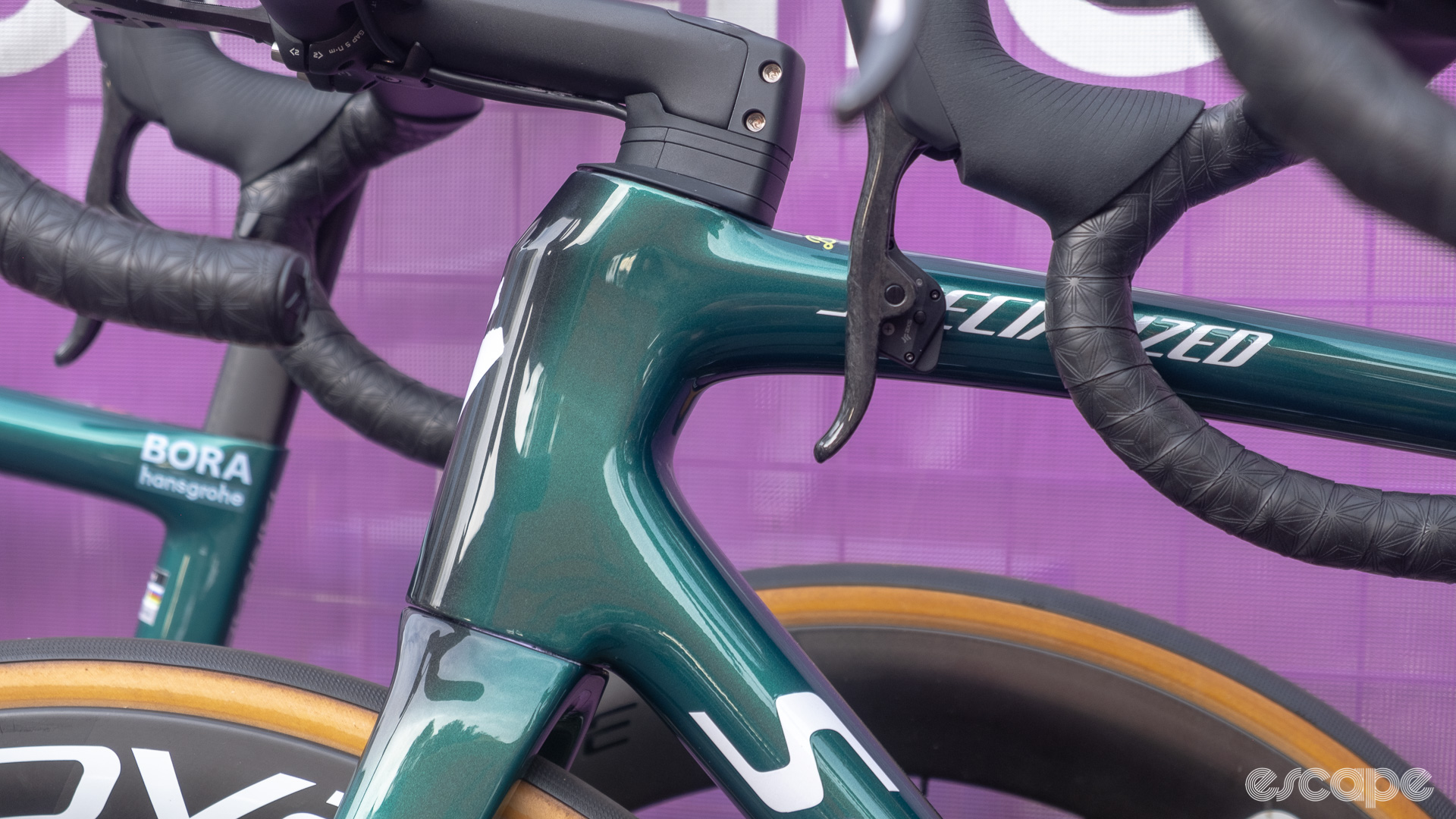 The image shows the head tube of a Specialized Tarmac SL8 