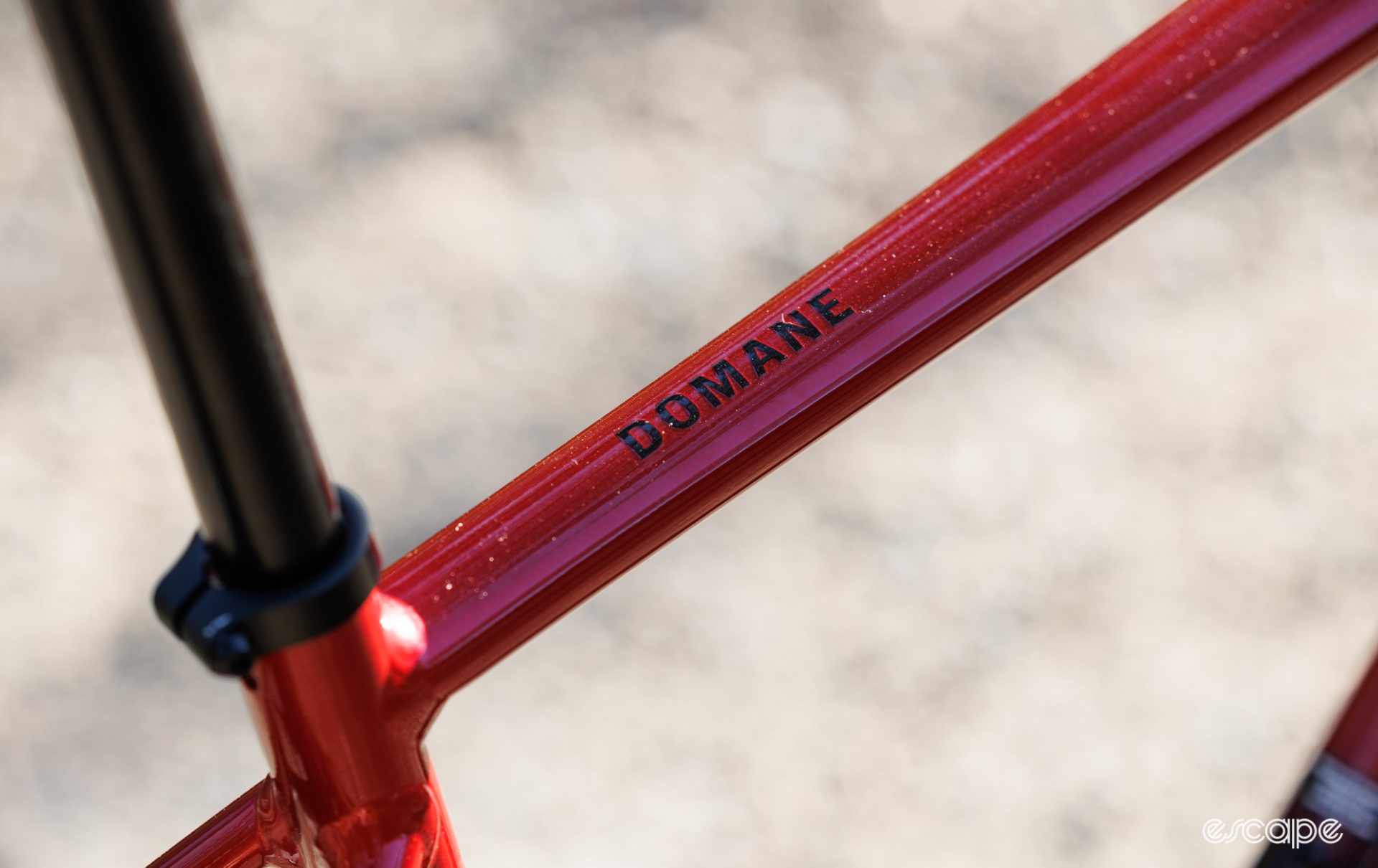 A close up of the Domane logo on the top tube. 