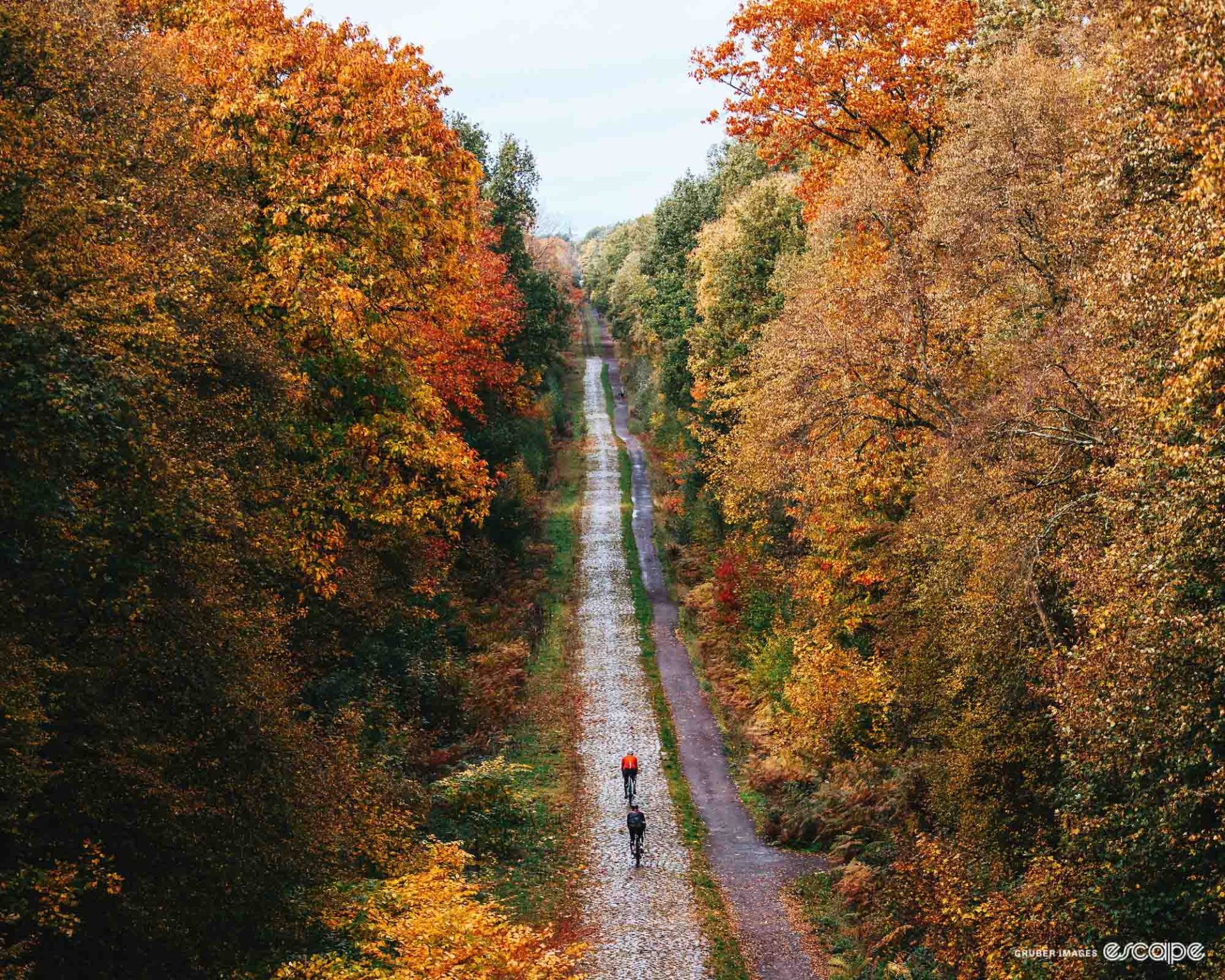 The road through the Forest of Arenberg, shot from above. The trees are all autumnal, many hues of orange and yellow and red, and in the centre are the tiny figures of two cyclists. 